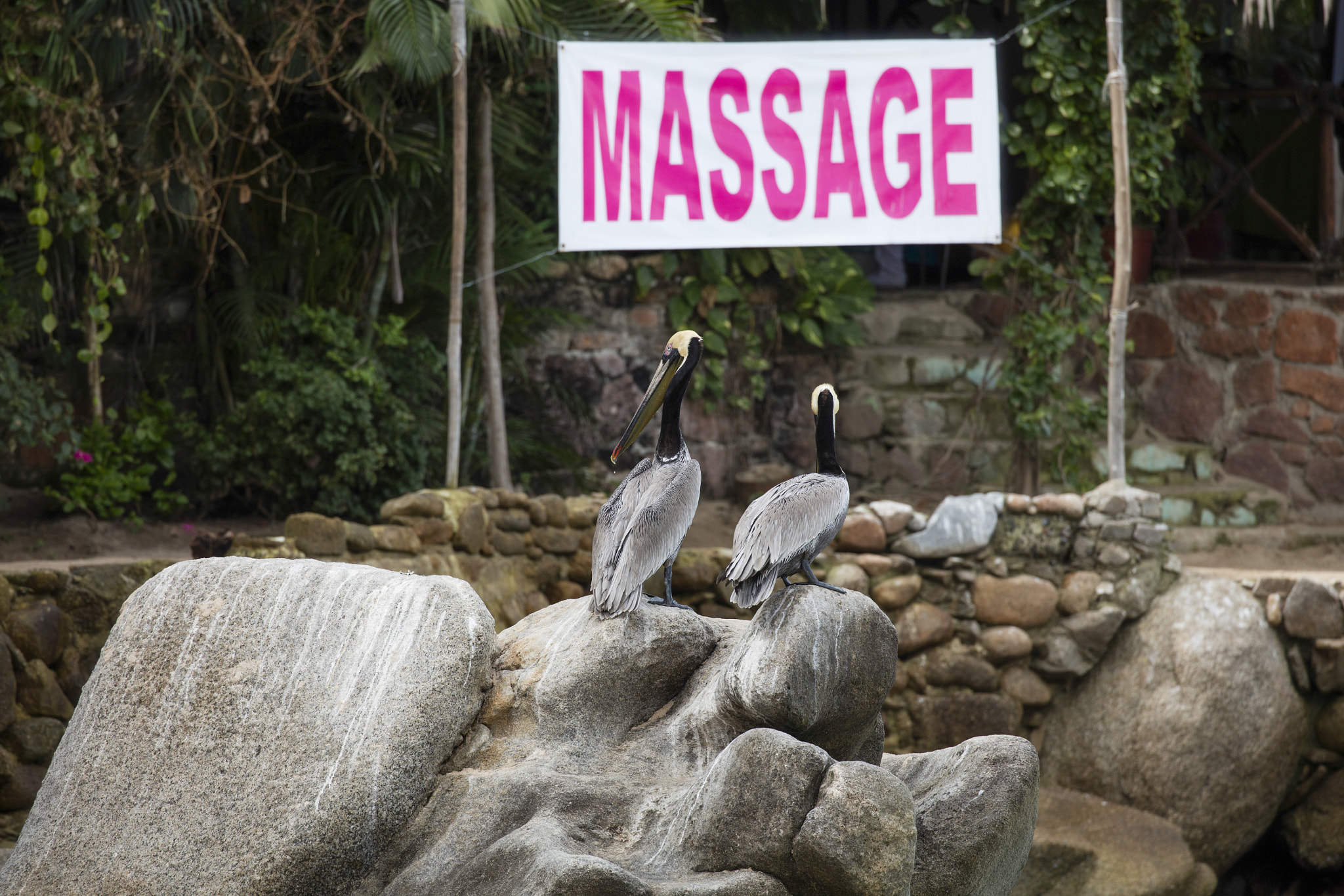 Canon EOS 5DS sample photo. Puerto vallarta photography