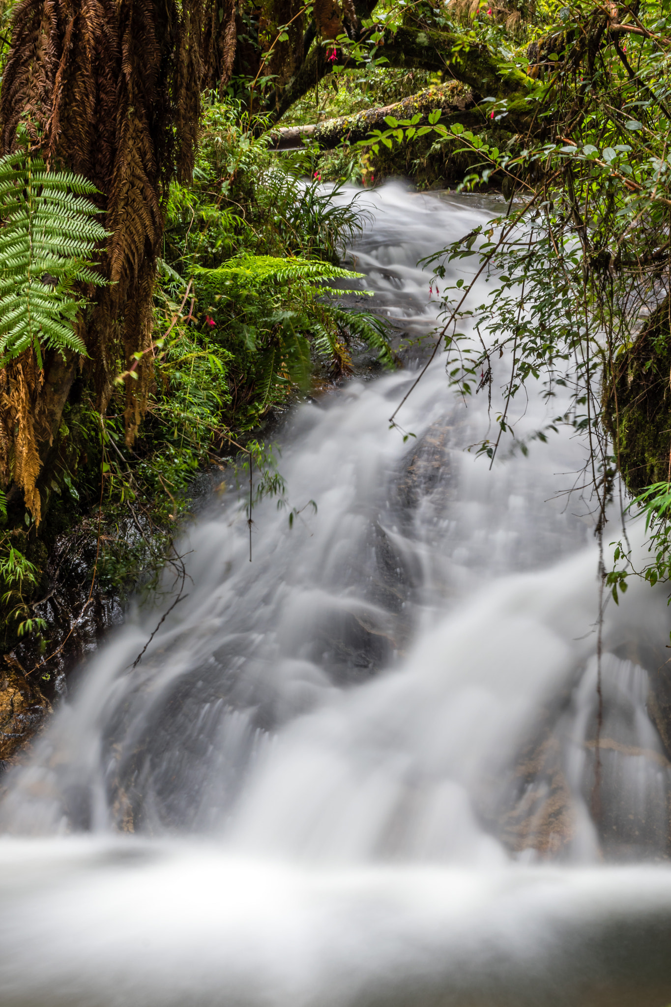 Sigma 17-50mm F2.8 EX DC OS HSM sample photo. Waterfall photography