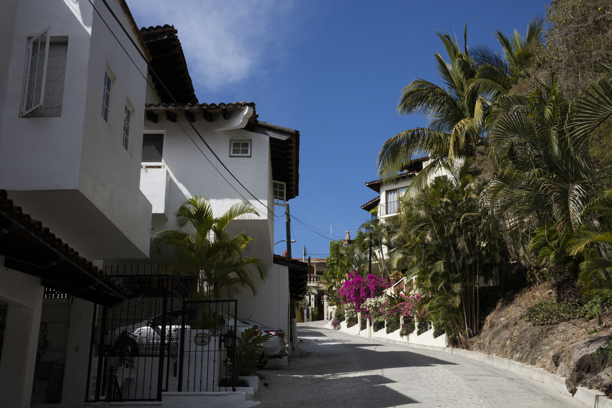 Canon EOS 5DS sample photo. Puerto vallarta photography