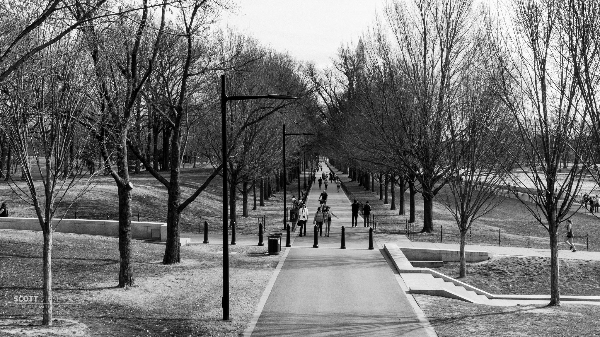 Sony Alpha NEX-3N sample photo. Path through the park photography