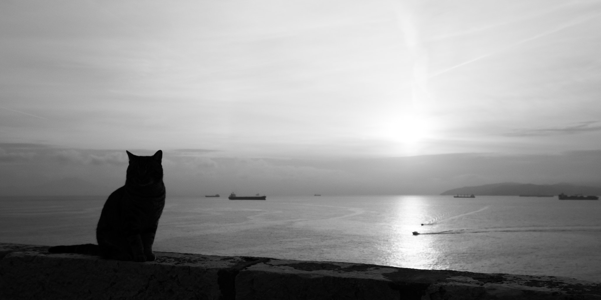 Canon EOS 7D Mark II sample photo. The guardian of the strait of gibraltar photography