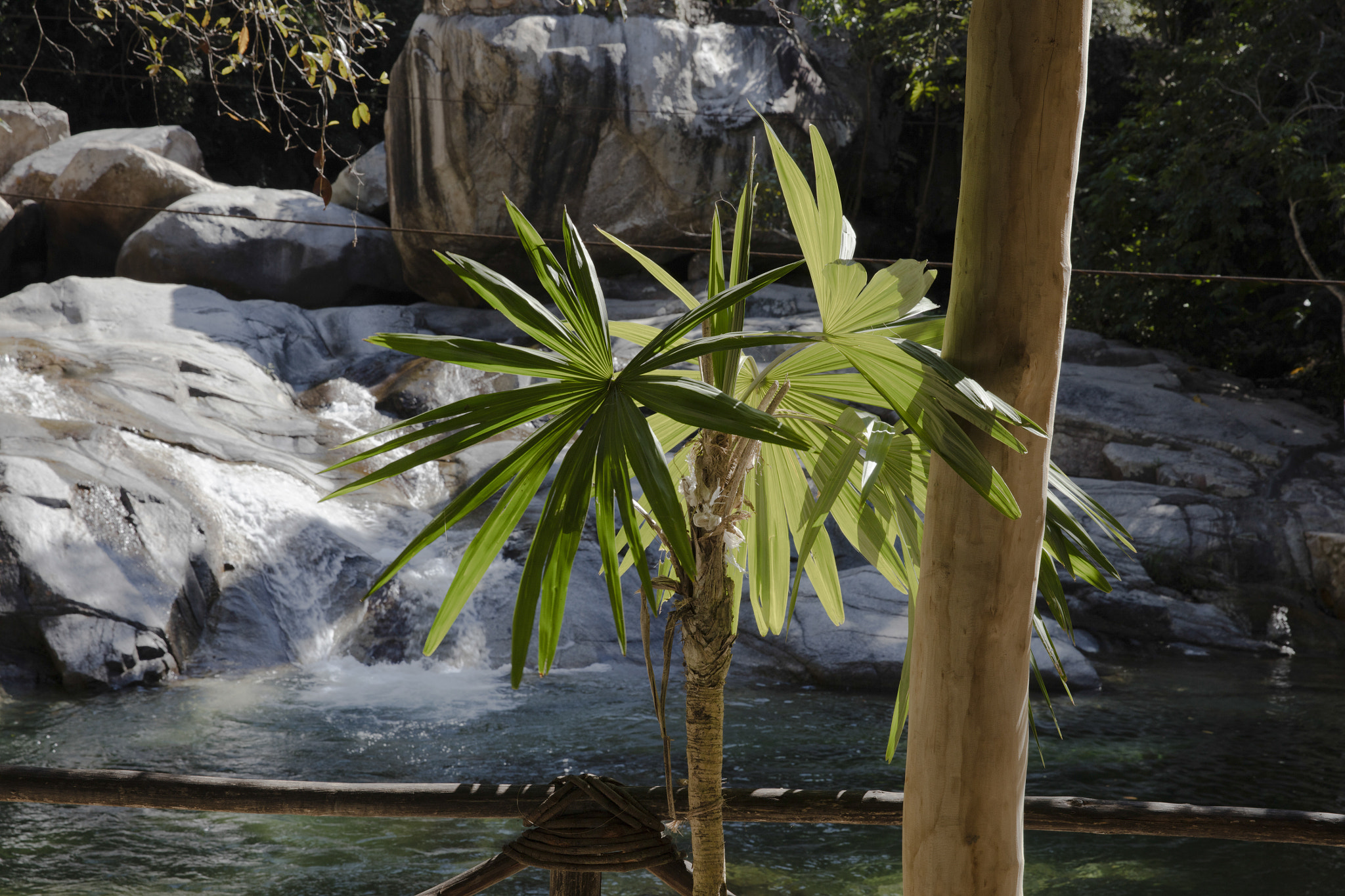Canon EOS 5DS sample photo. Puerto vallarta photography