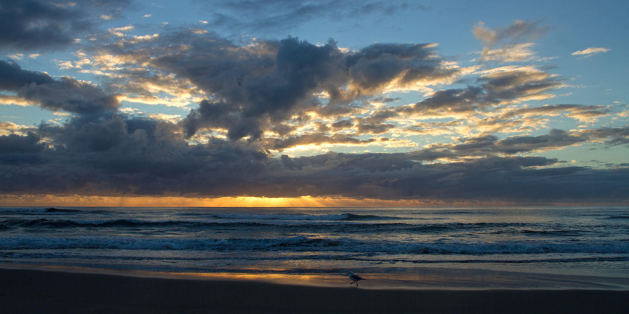 Canon EF 20mm F2.8 USM sample photo. Sevenmilebeach#1 photography