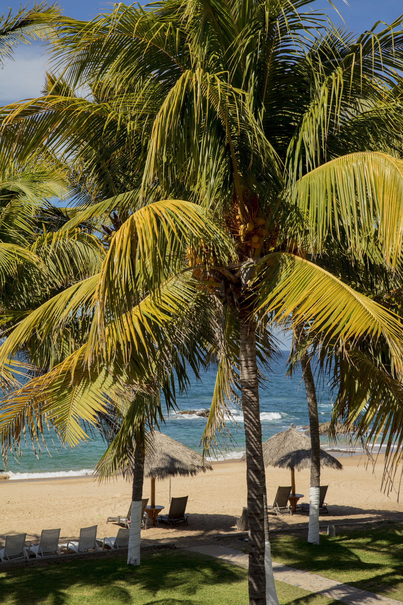 Canon EOS 5DS sample photo. Mexico photography