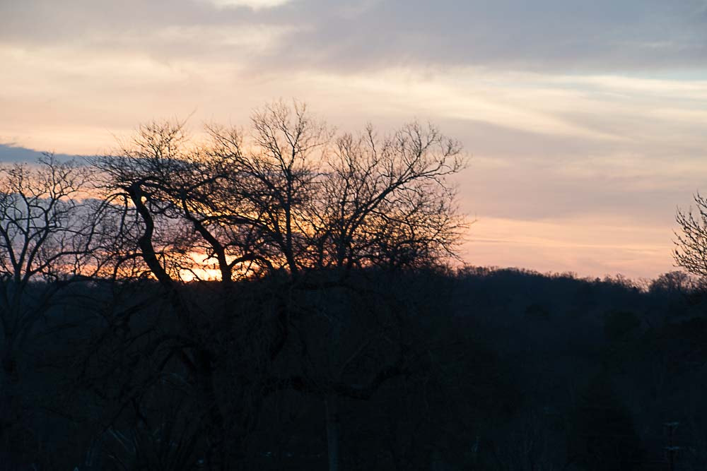 Nikon D500 sample photo. Sunset knoxville photography