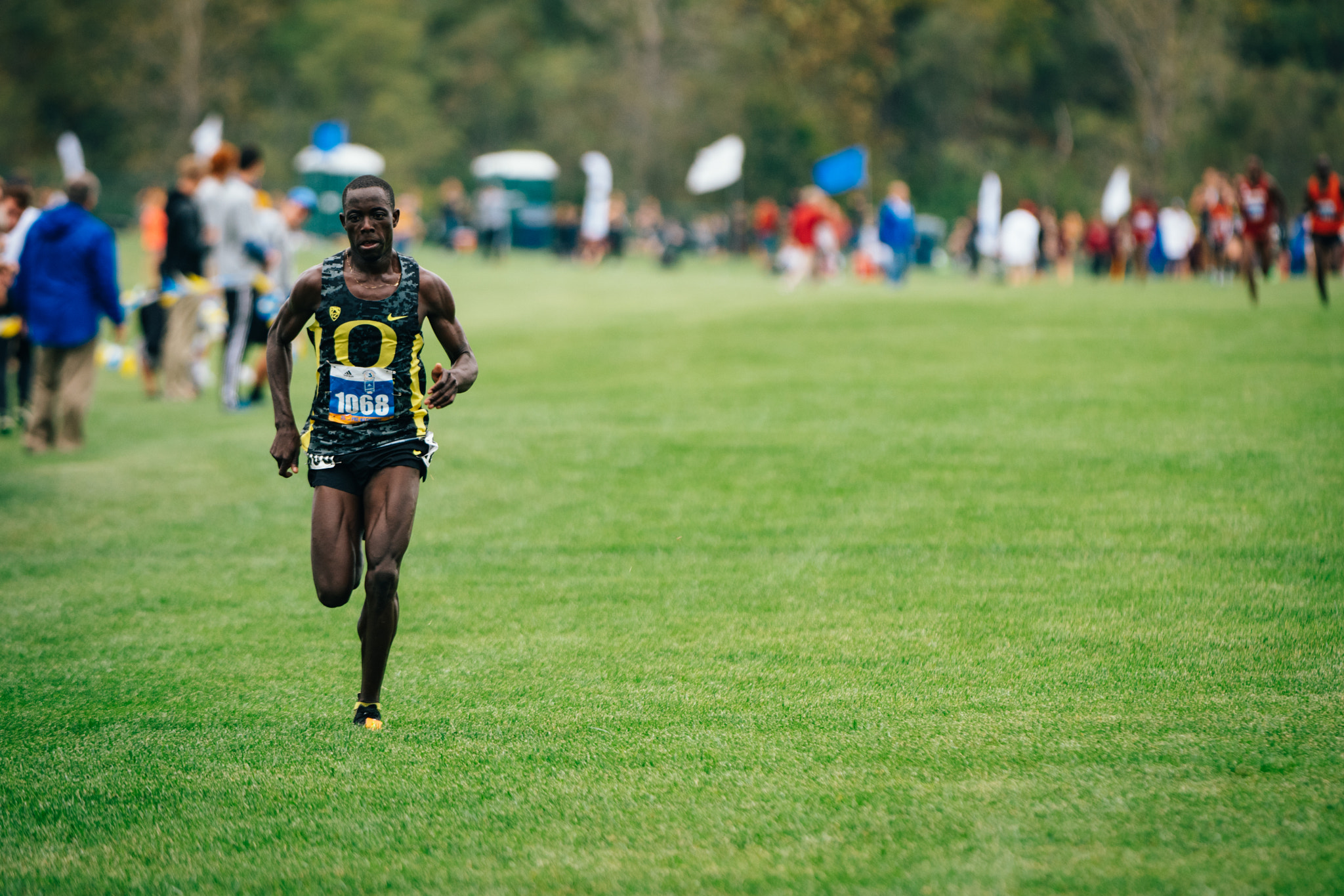 Nikon D500 sample photo. Lone runner photography