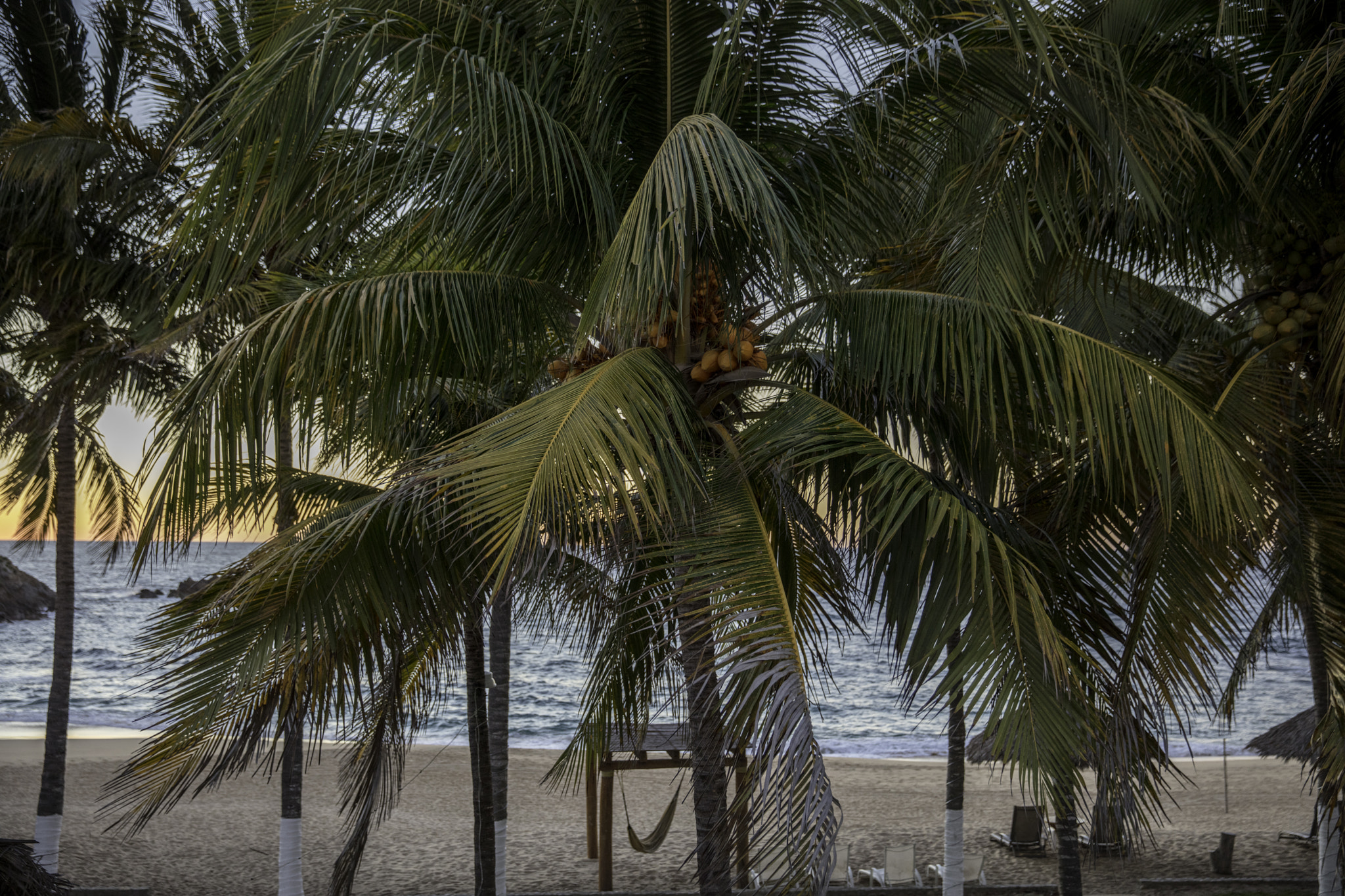 Canon EOS 5DS sample photo. Hotel mayto photography