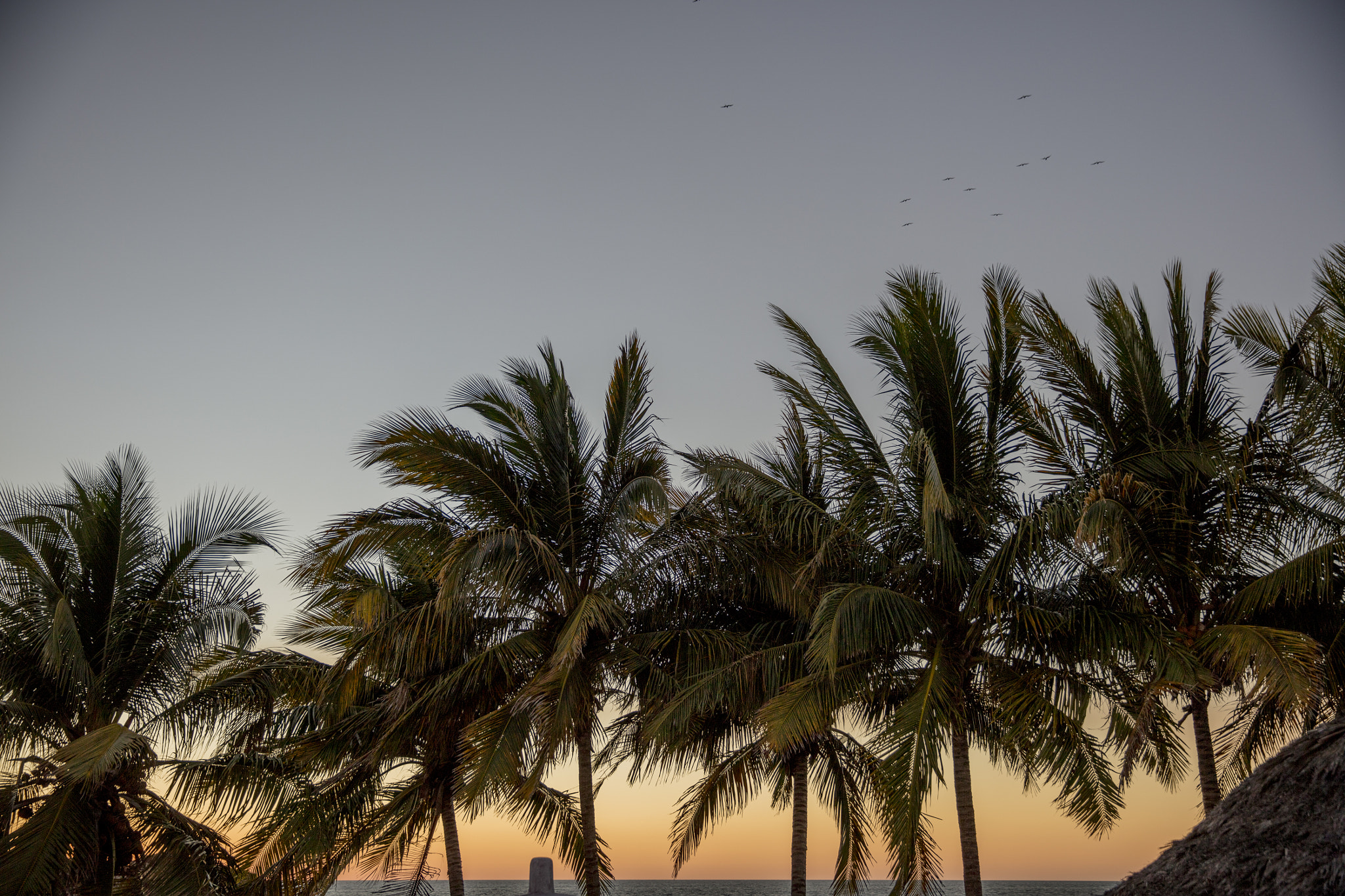 Canon EOS 5DS sample photo. Mexico photography