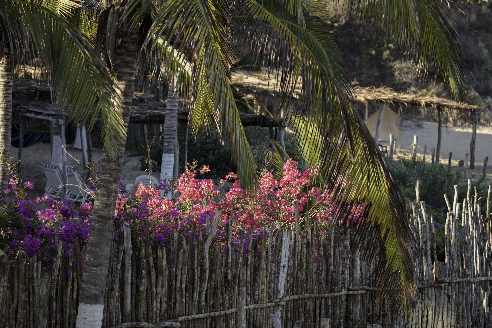 Canon EOS 5DS sample photo. Ha photography