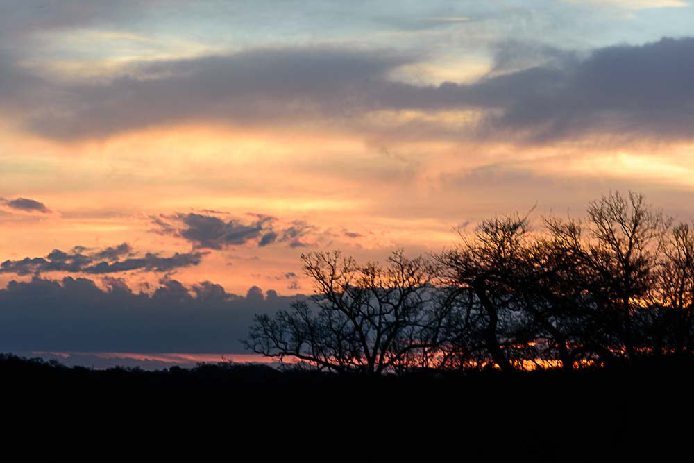 Nikon D7200 + Nikon AF-S Nikkor 85mm F1.8G sample photo. Sunset knoxville photography