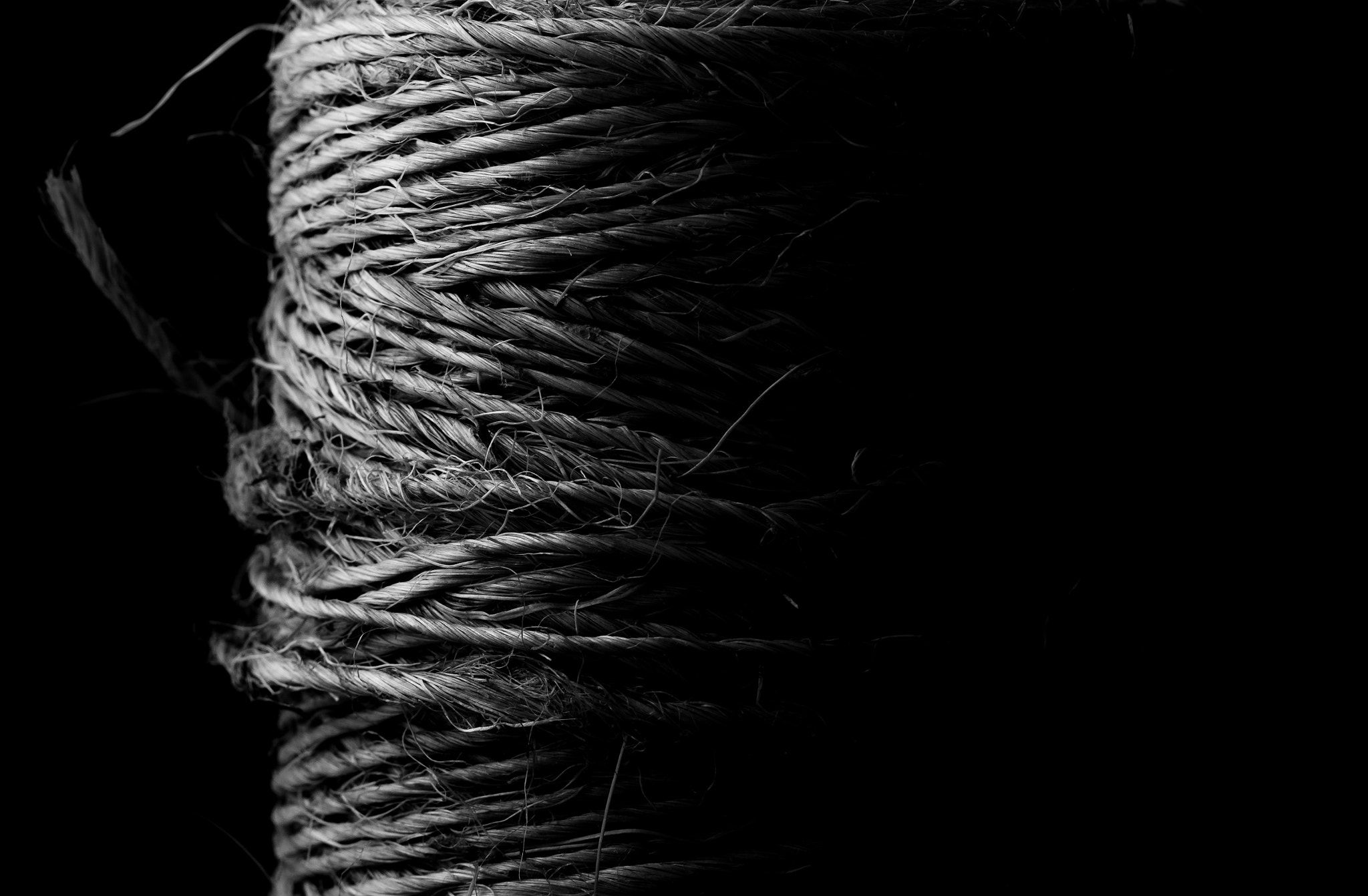 Nikon D7100 + Tokina AT-X Pro 100mm F2.8 Macro sample photo. Tied in a knot photography