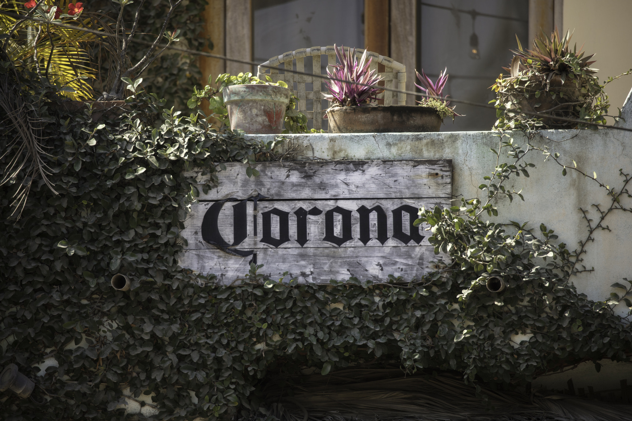Canon EOS 5DS sample photo. Ha photography