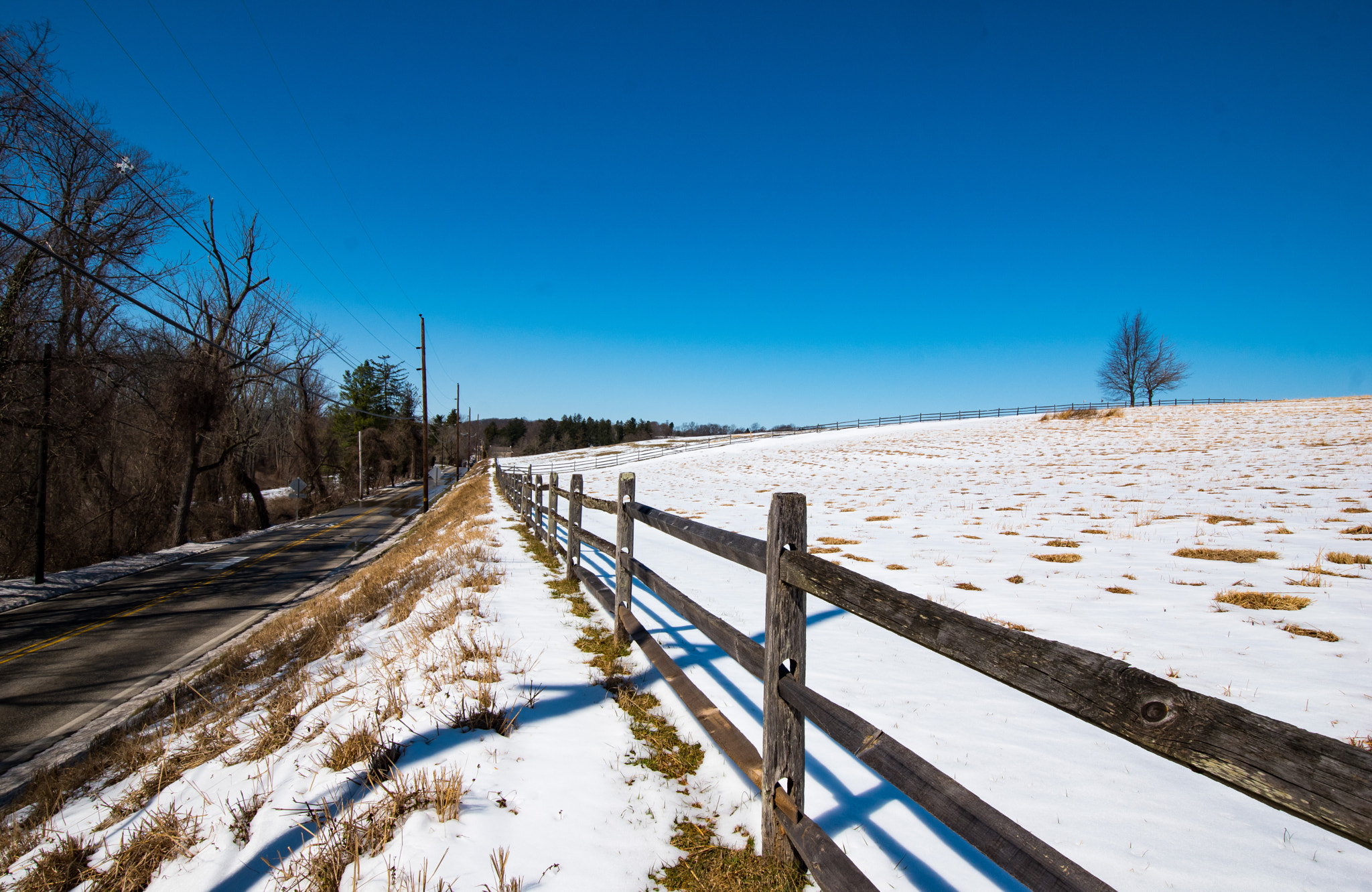 Nikon D5500 sample photo. Solitary photography