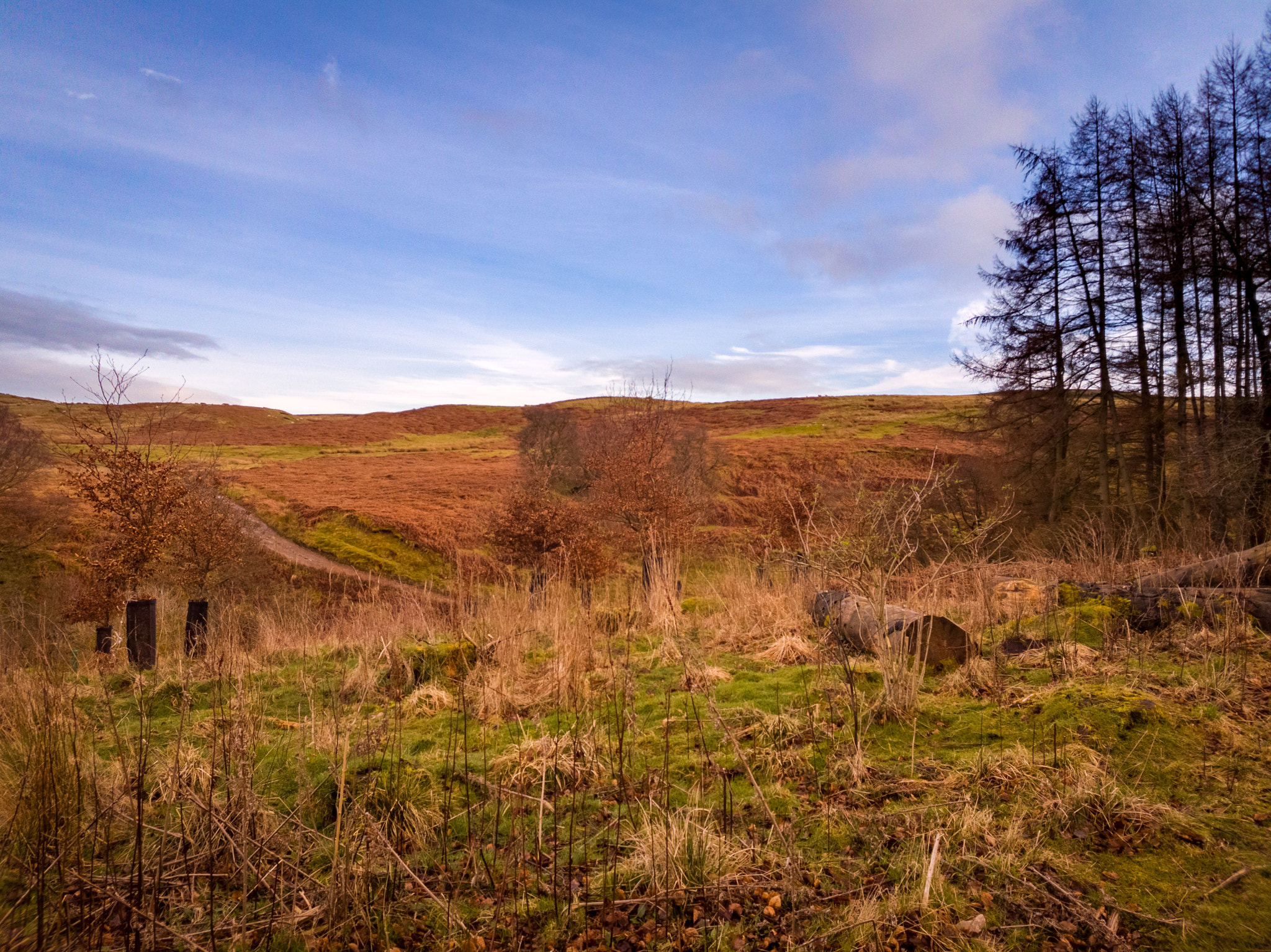 Samsung Galaxy S7 Rear Camera sample photo. In the dales (samsung galaxy s7) photography