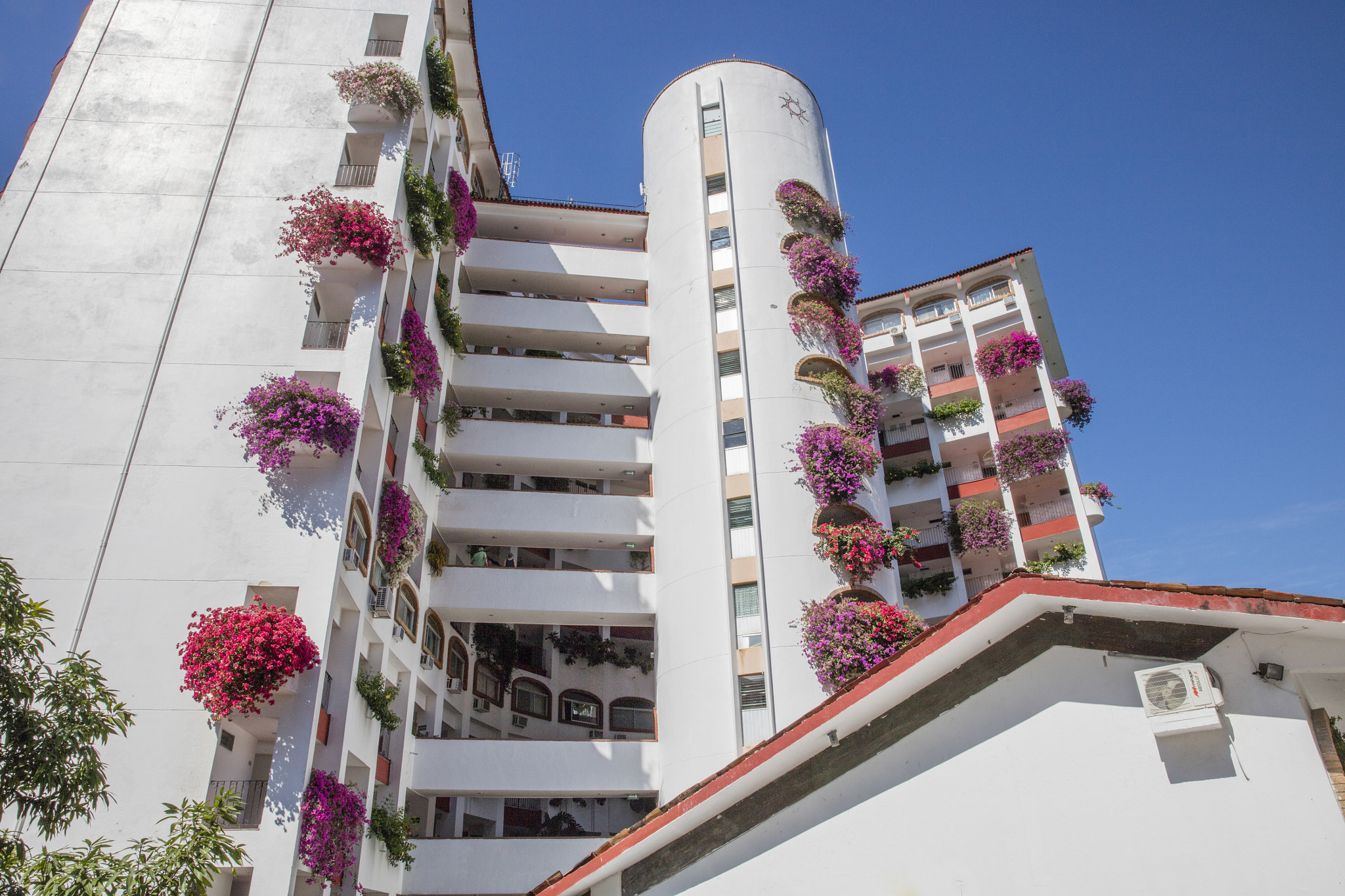 Canon EOS 5DS sample photo. Puerto vallarta photography