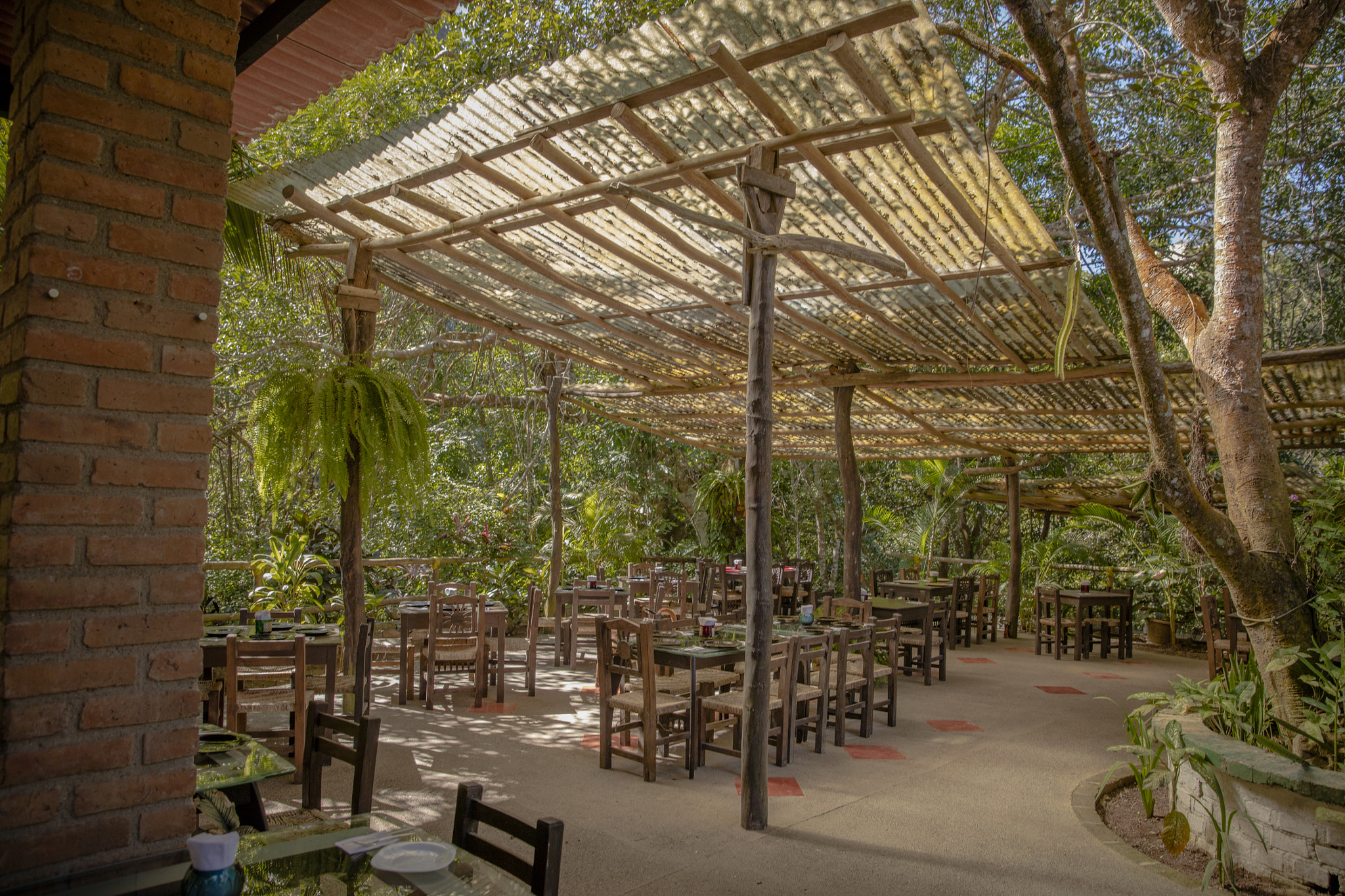 Canon EOS 5DS sample photo. Nagalito nature park canopy restaurant photography