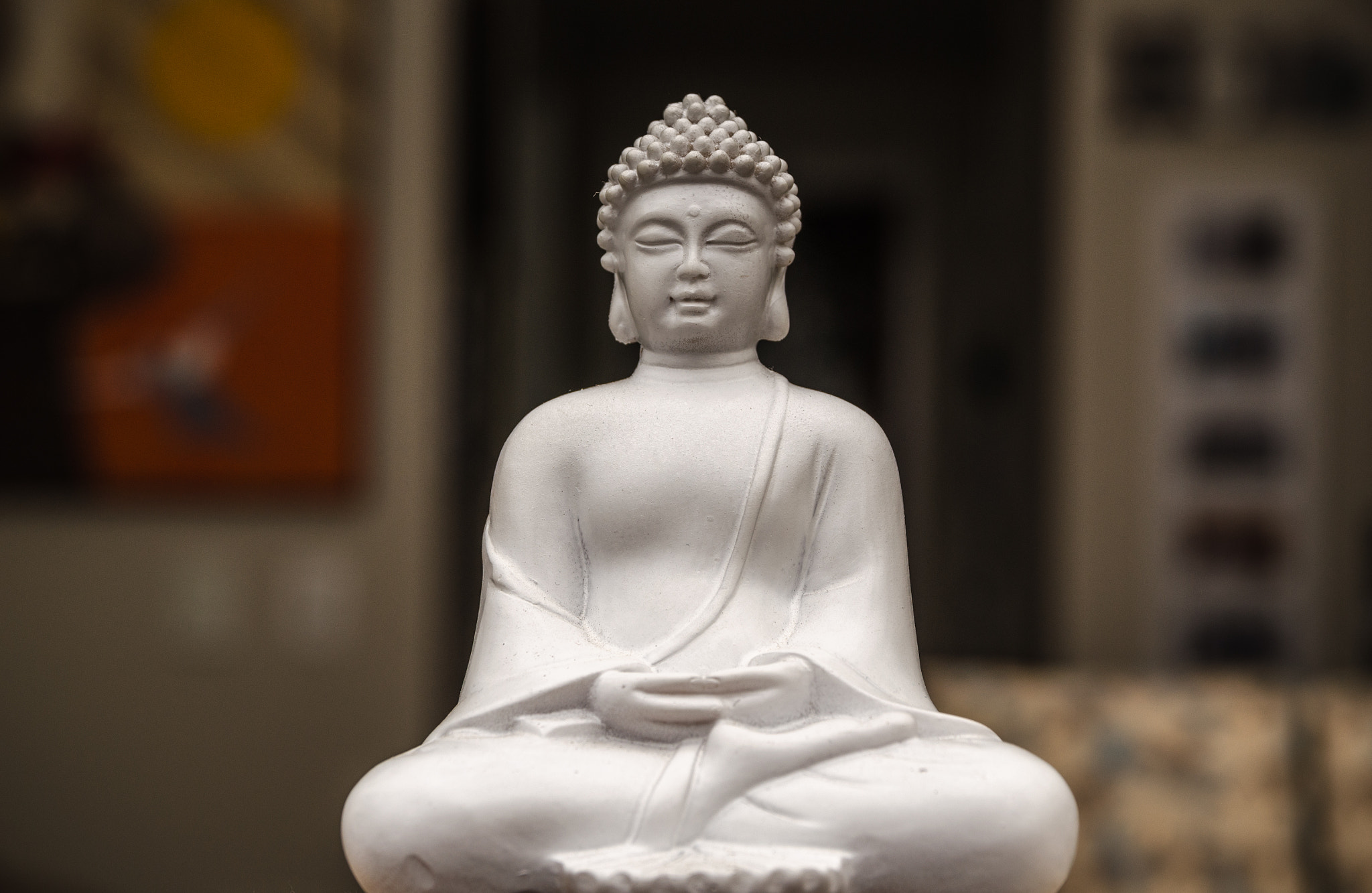 Sigma 17-70mm F2.8-4 DC Macro OS HSM | C sample photo. Blessed home photography