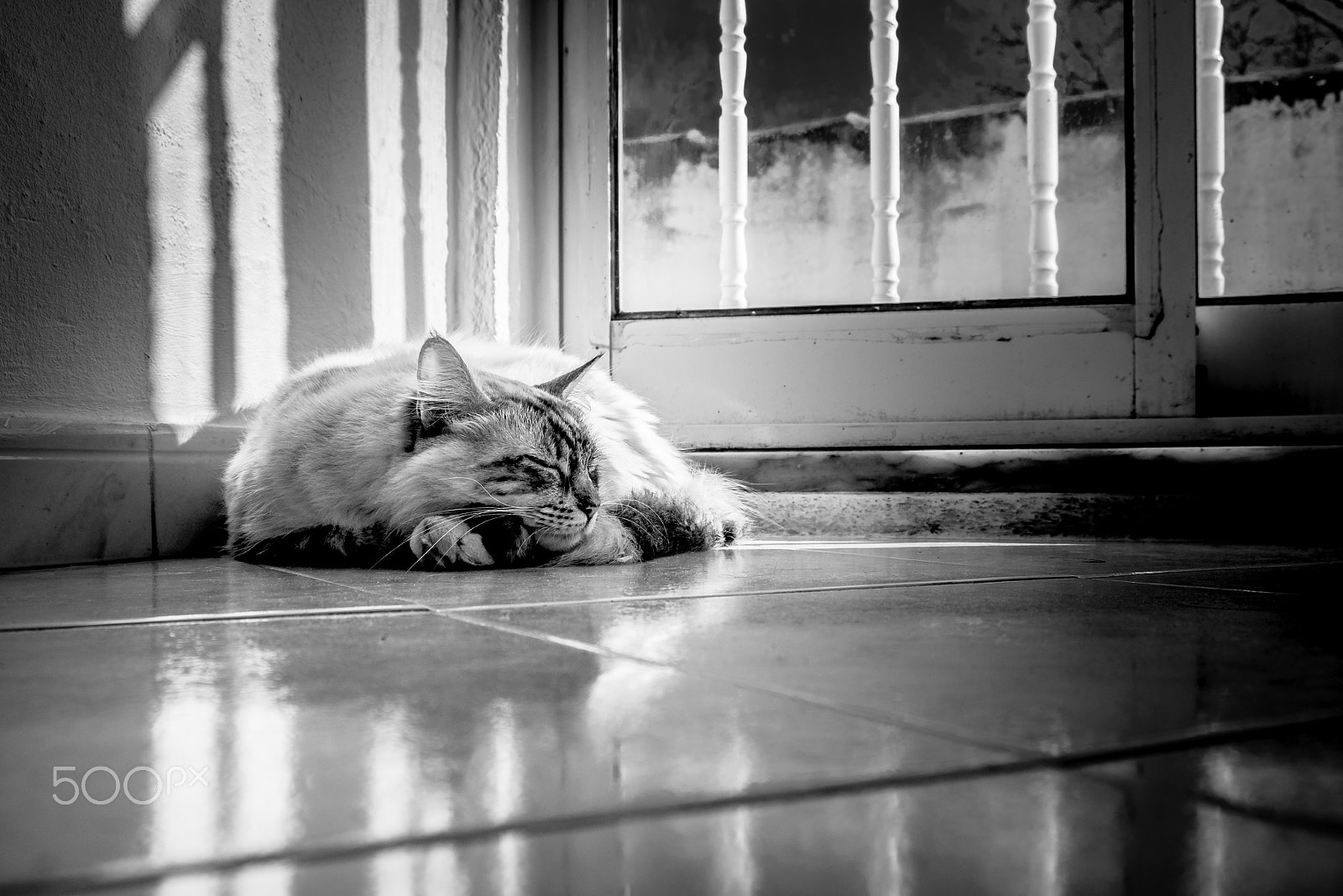 Fujifilm X-E2 + Fujifilm XF 18-55mm F2.8-4 R LM OIS sample photo. Luna photography