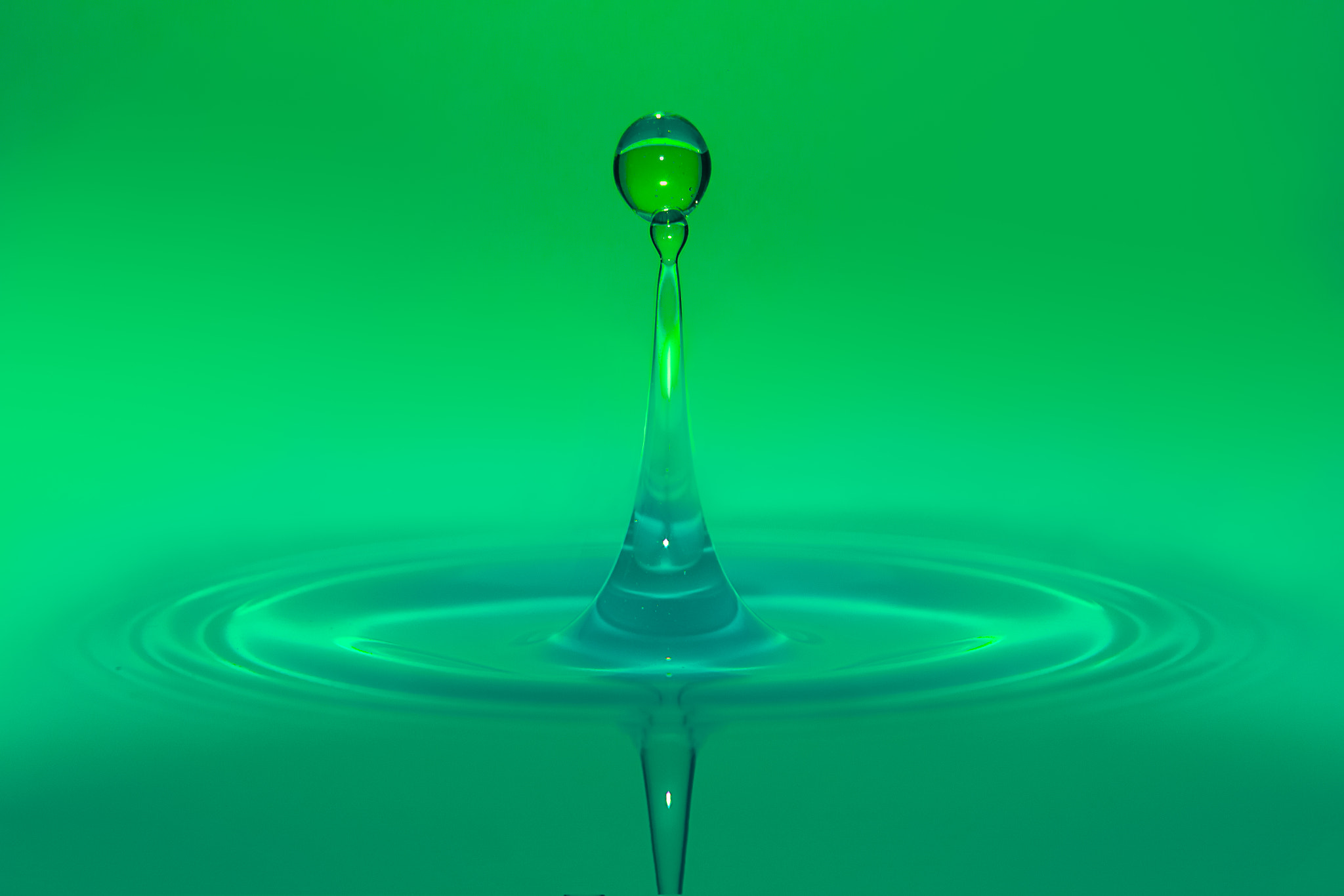 Canon EOS 70D + Tamron AF 28-75mm F2.8 XR Di LD Aspherical (IF) sample photo. Water droplets with green background photography