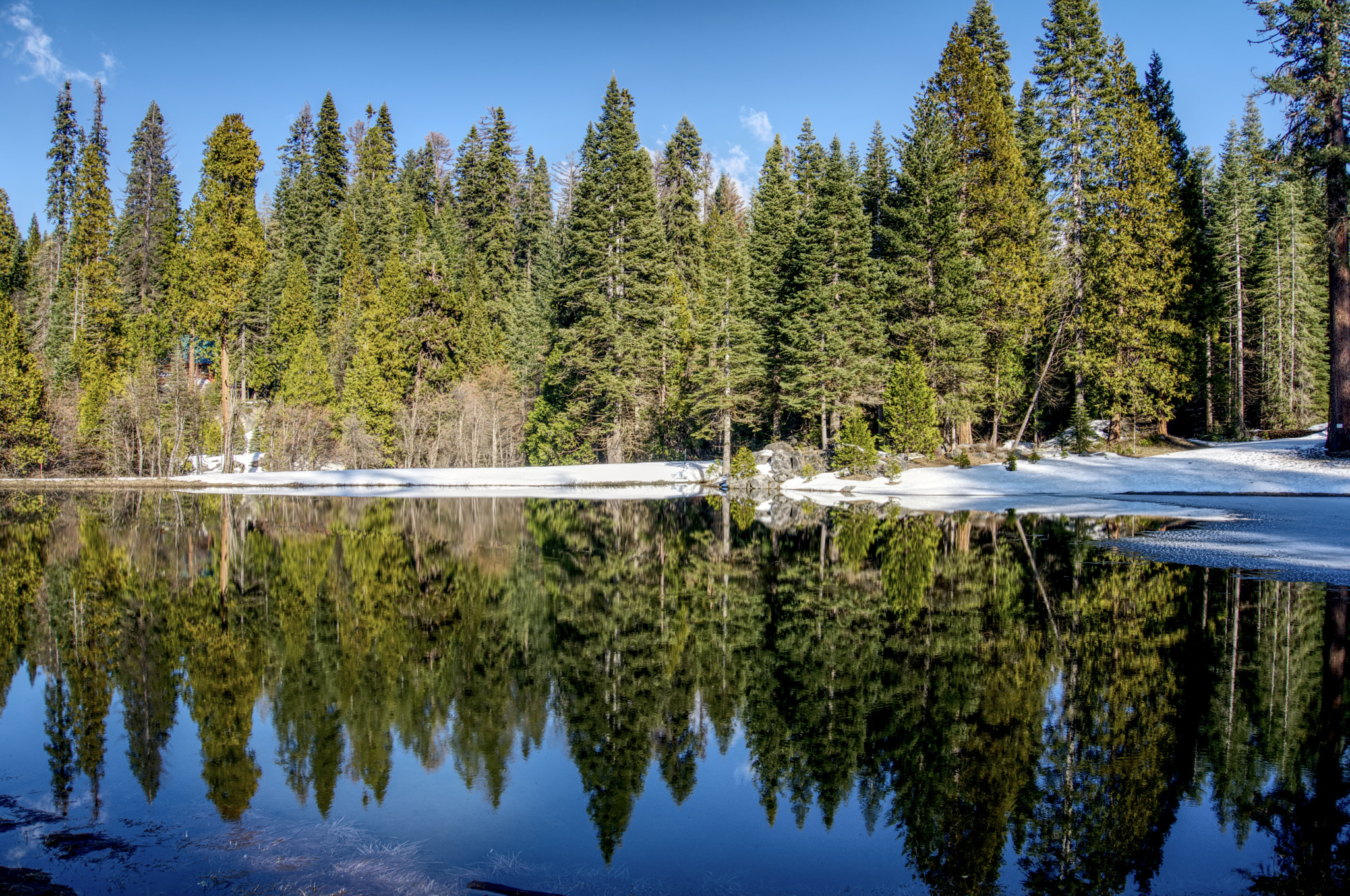 Sony a6300 sample photo. Stopped at fish camp on the way to yosemite photography