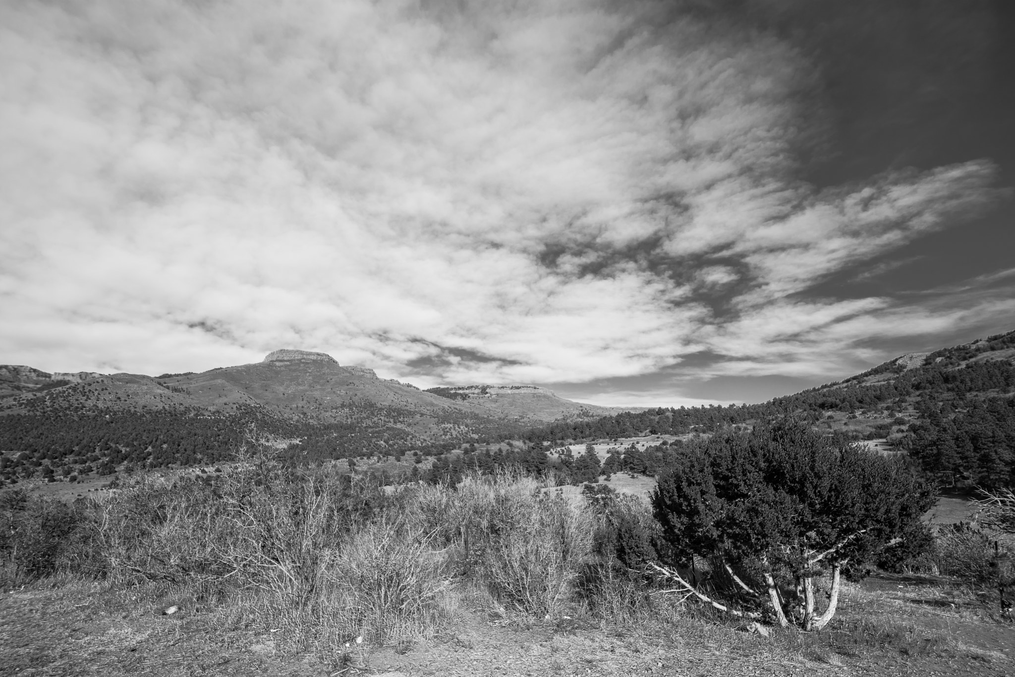 Nikon D7200 sample photo. Valley - colorado photography