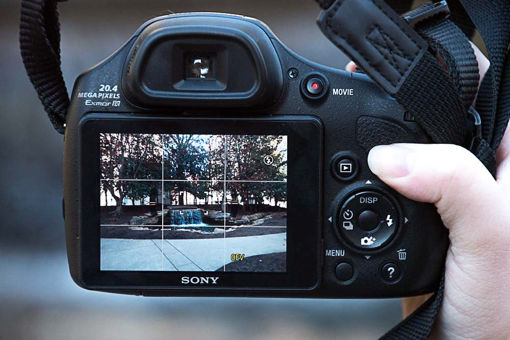 Nikon D500 sample photo. Picture of a picture photography