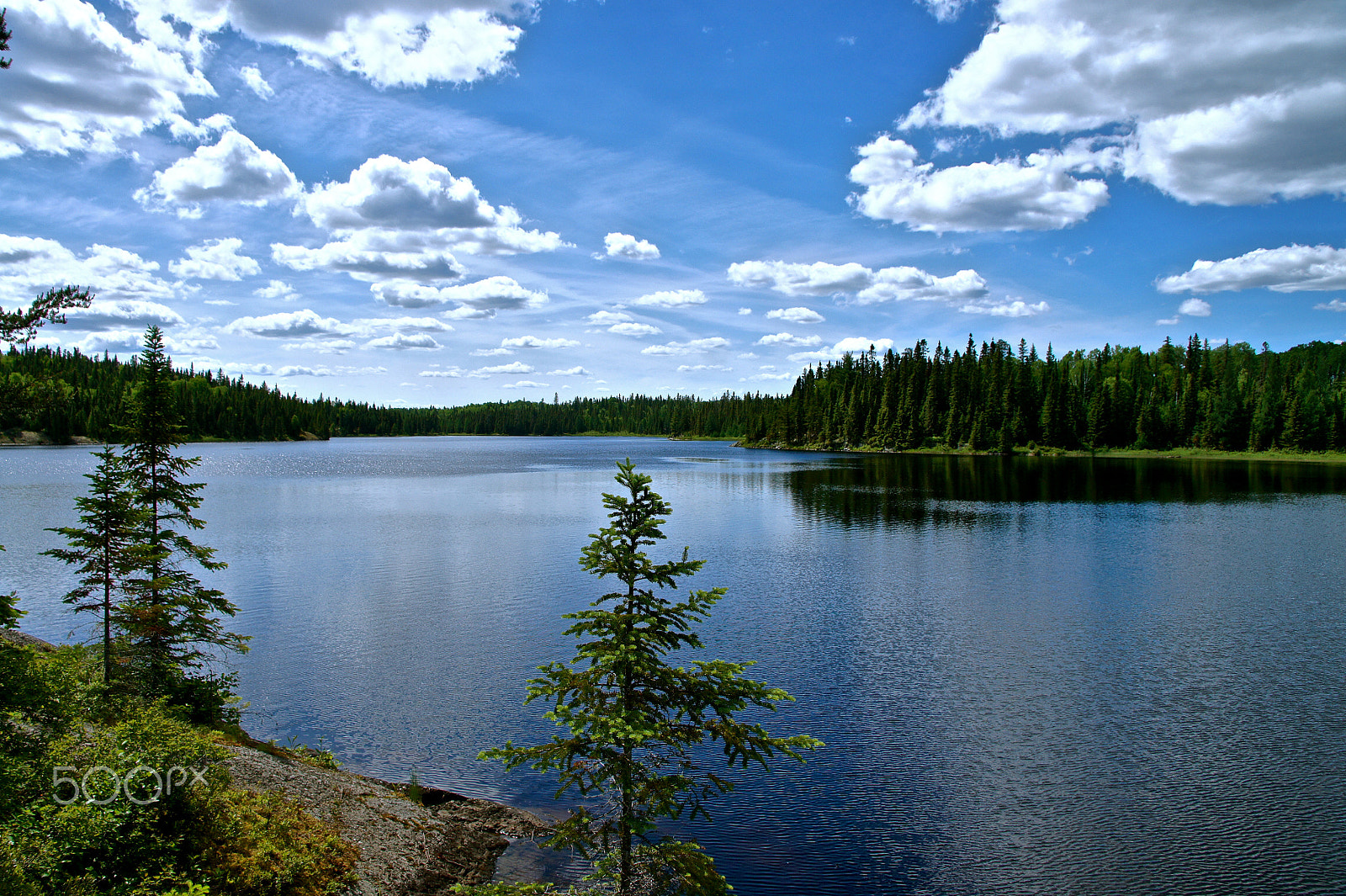 Sony Alpha NEX-5 sample photo. Northern ontario wilderness photography