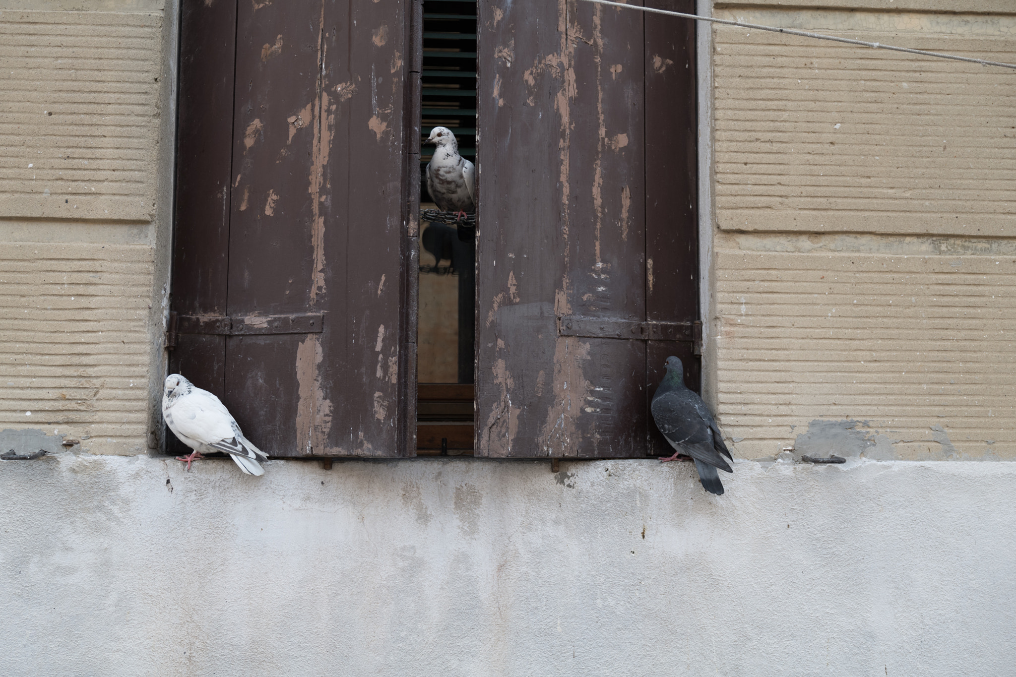 Leica SL (Typ 601) sample photo. Finestra venezia photography