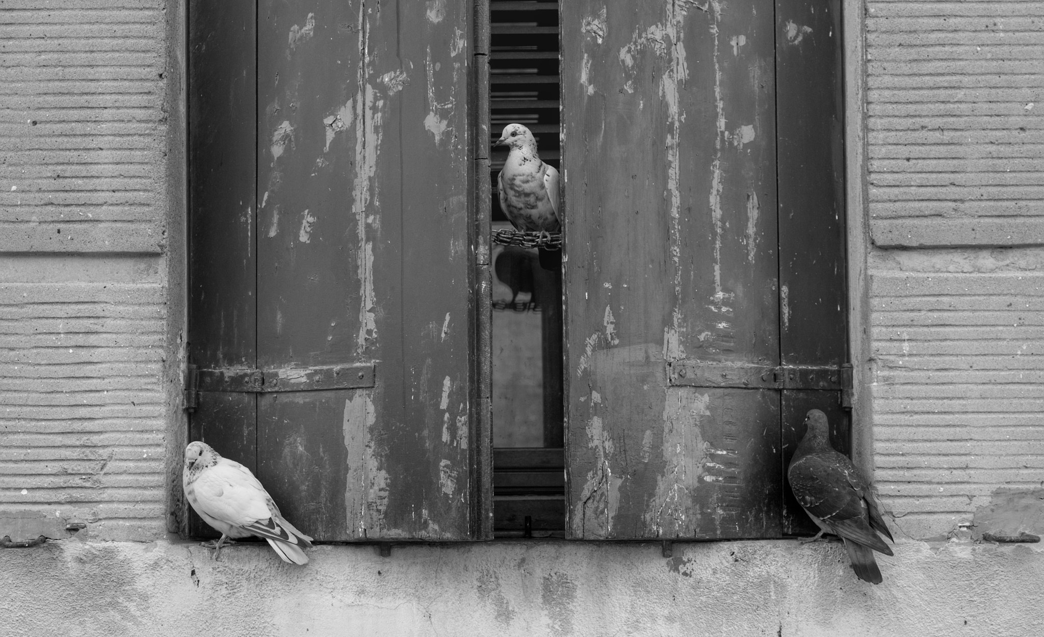 VARIO-ELMARIT 1:2.8-4.0/24-90mm ASPH. OIS sample photo. B&w venice window photography