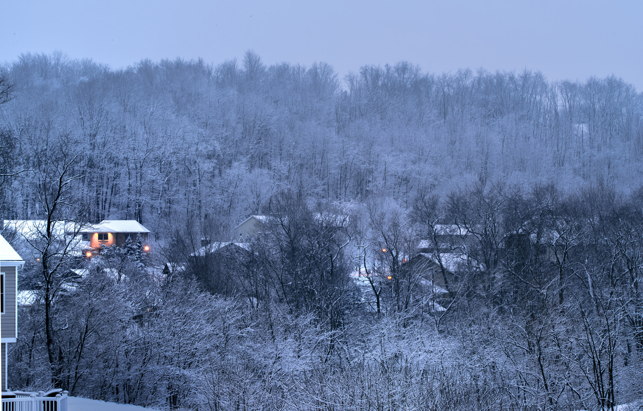 Nikon D810 sample photo. Snowing morning photography