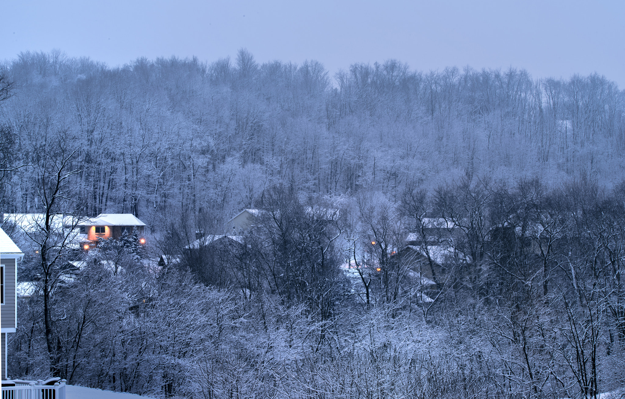 Nikon D810 + Sigma 150-600mm F5-6.3 DG OS HSM | C sample photo. Snowing morning photography