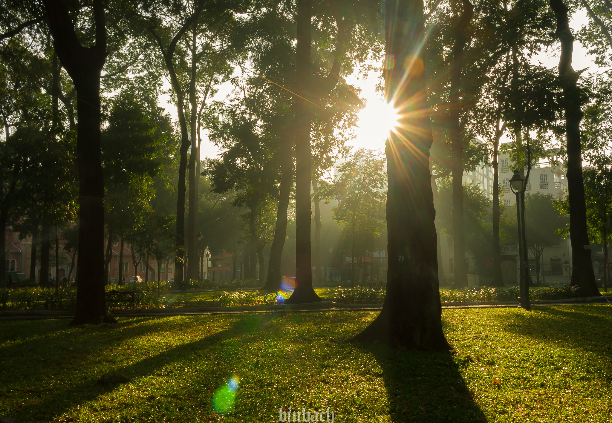 Canon EOS 40D sample photo. Morning in sai gon photography
