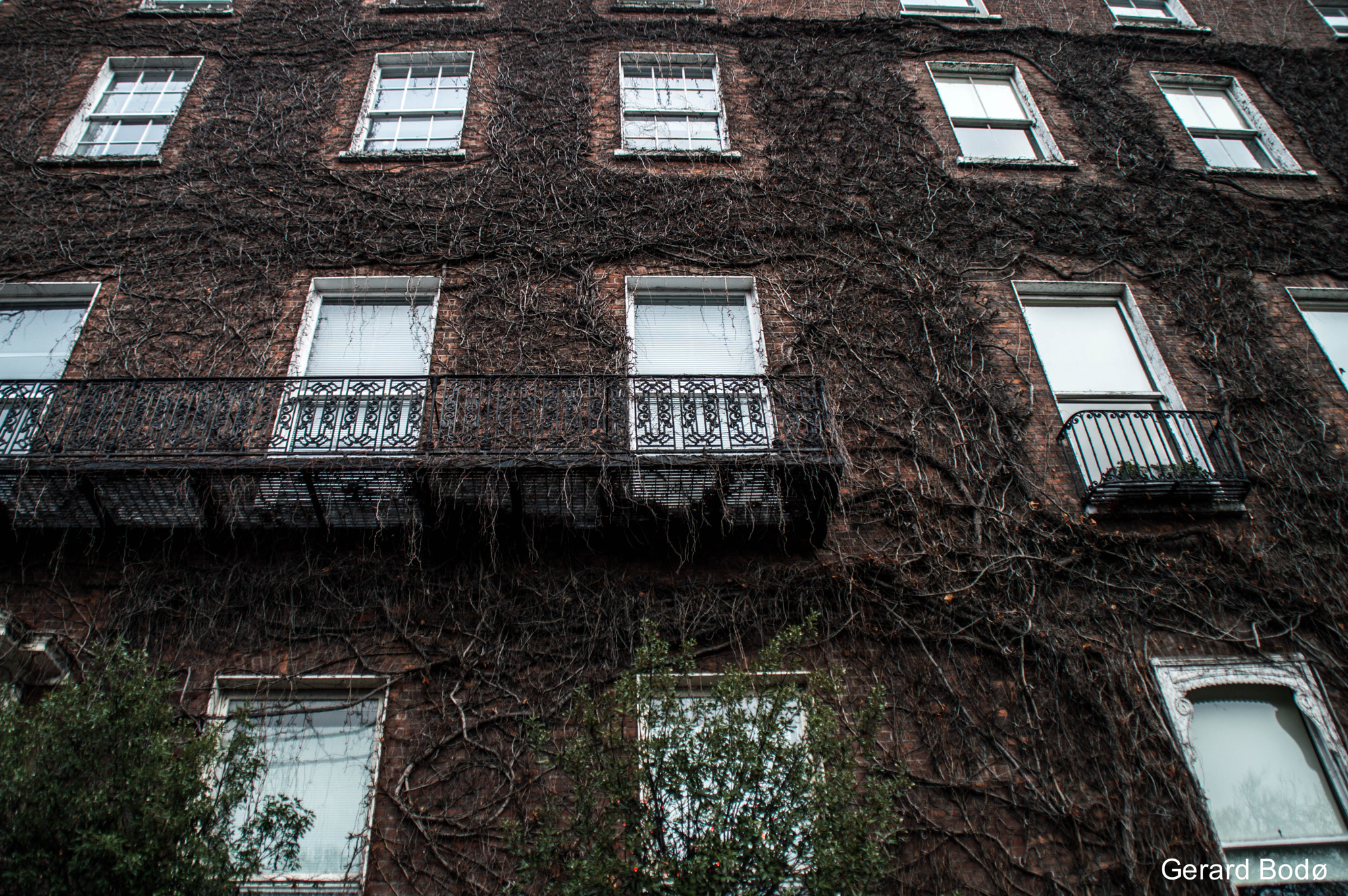Nikon D3200 sample photo. Dublin photography