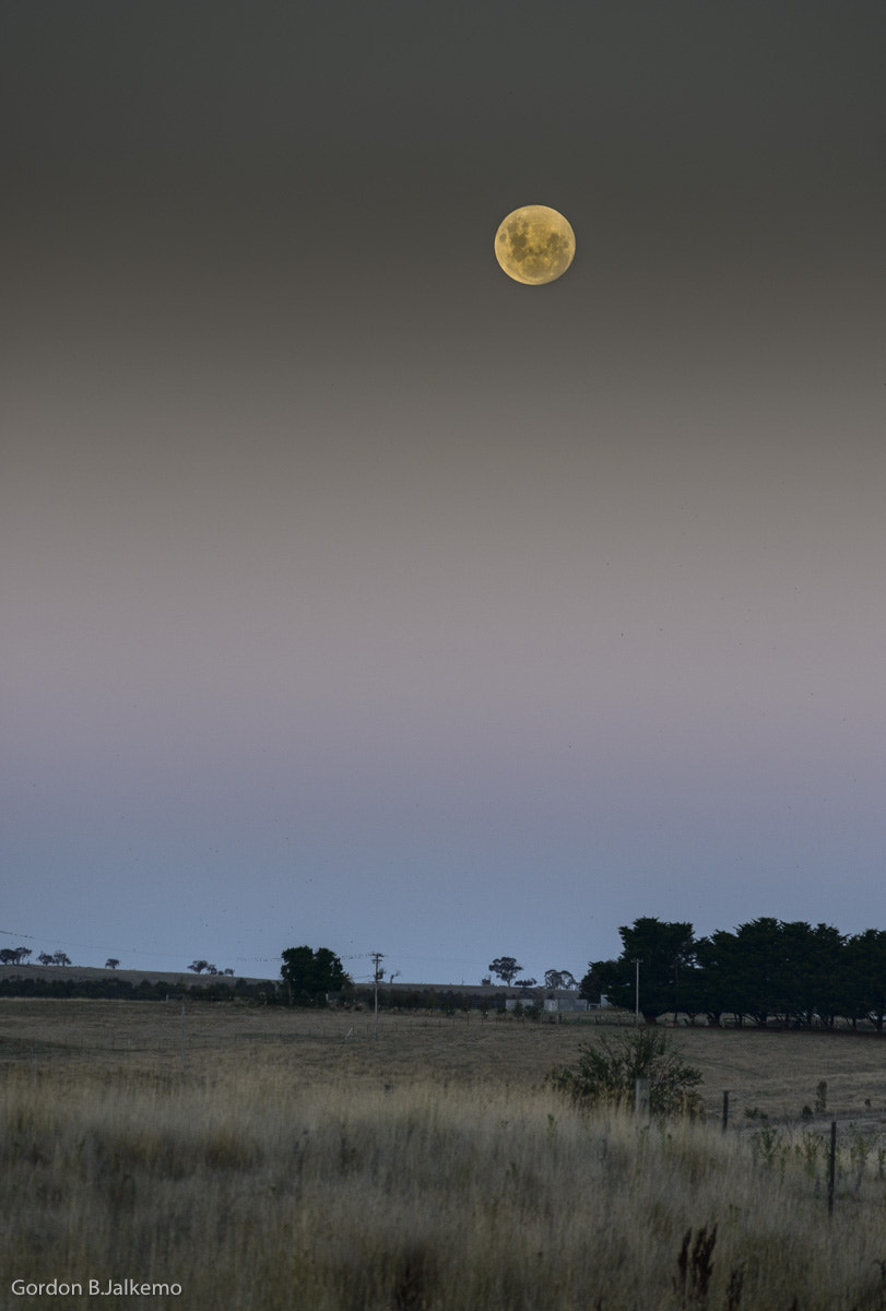 Nikon D800 + Nikon AF-Nikkor 80-200mm F2.8D ED sample photo. Moon photography