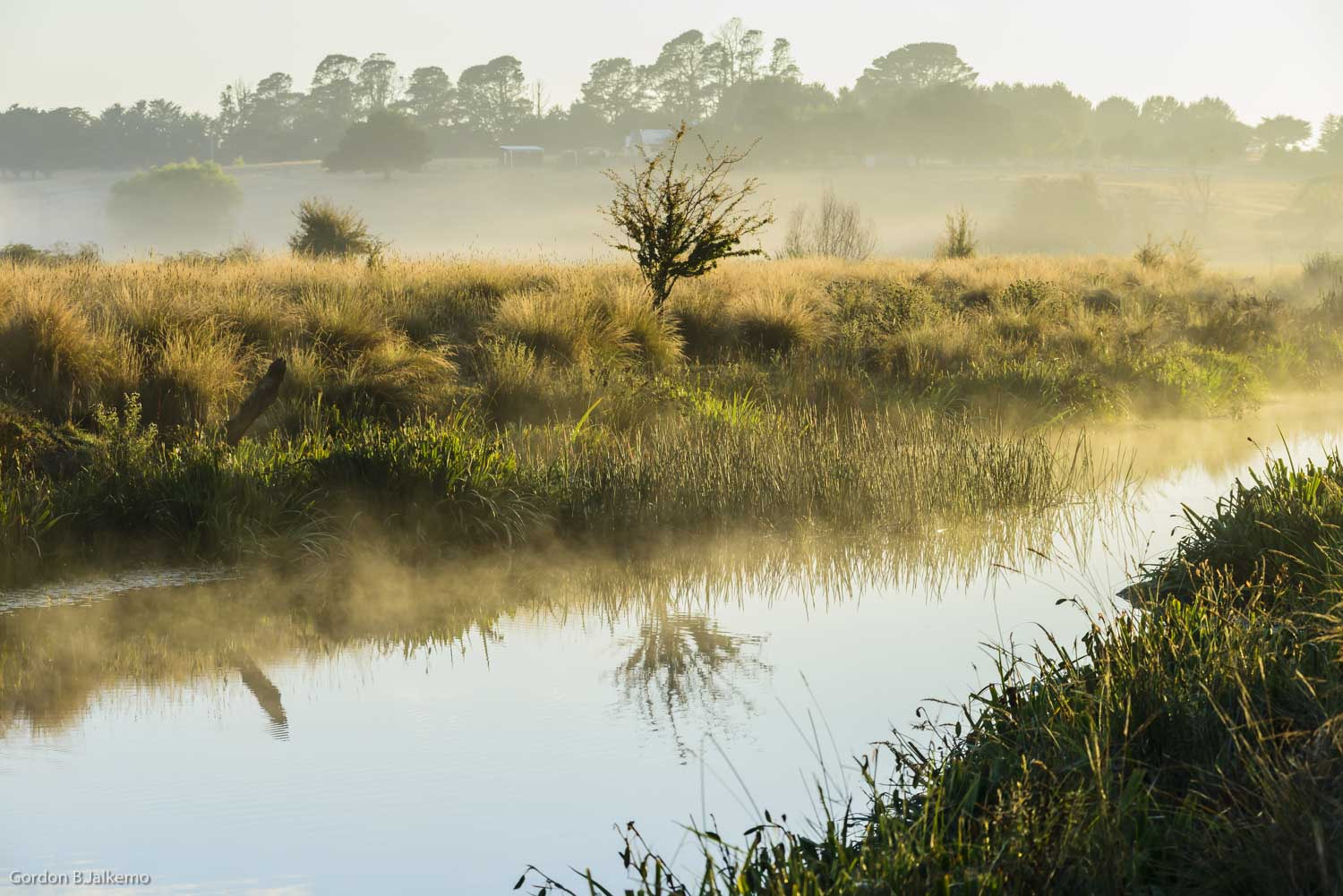 Nikon AF-Nikkor 80-200mm F2.8D ED sample photo. Morning mist photography