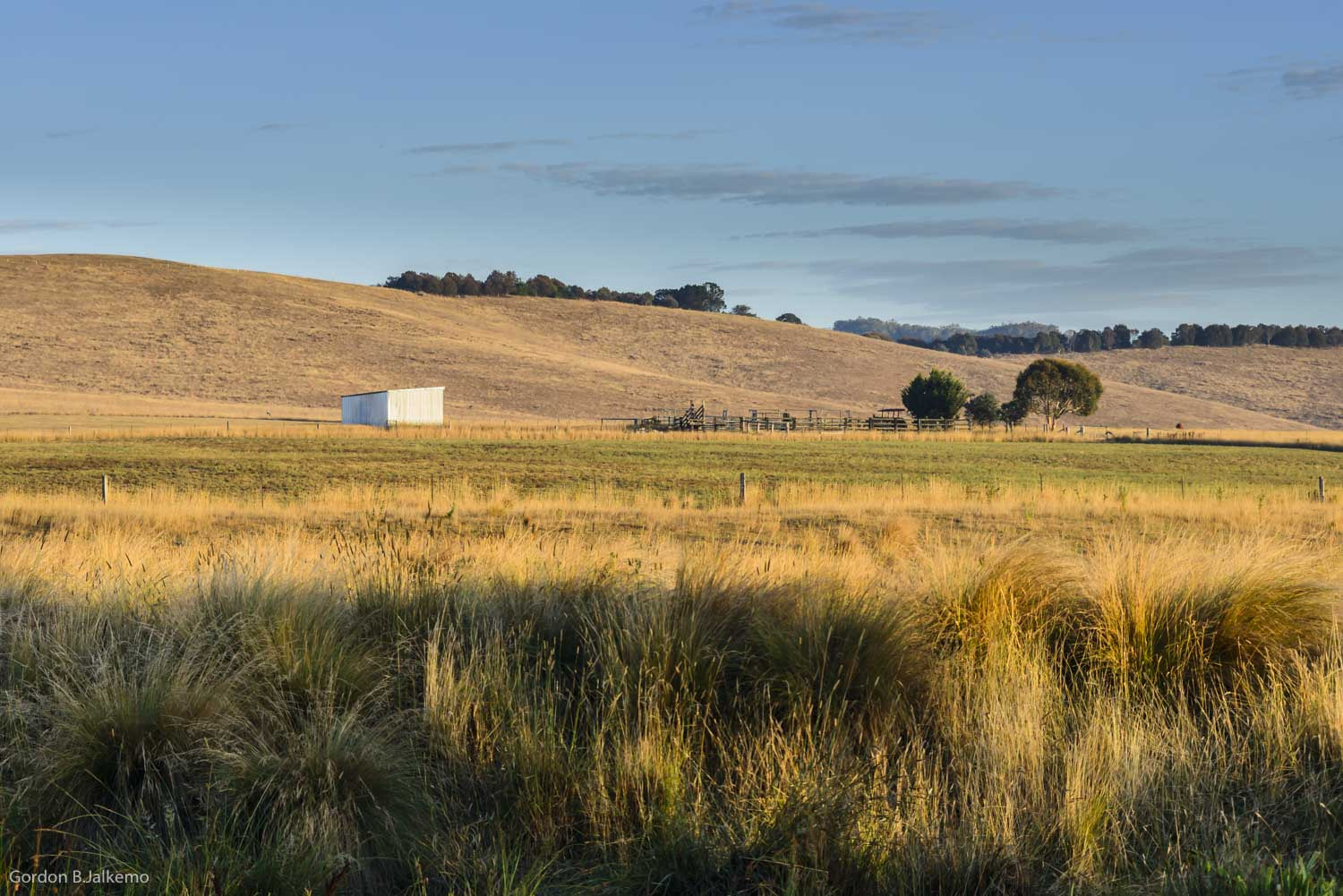Nikon AF-Nikkor 80-200mm F2.8D ED sample photo. Rolling hills photography