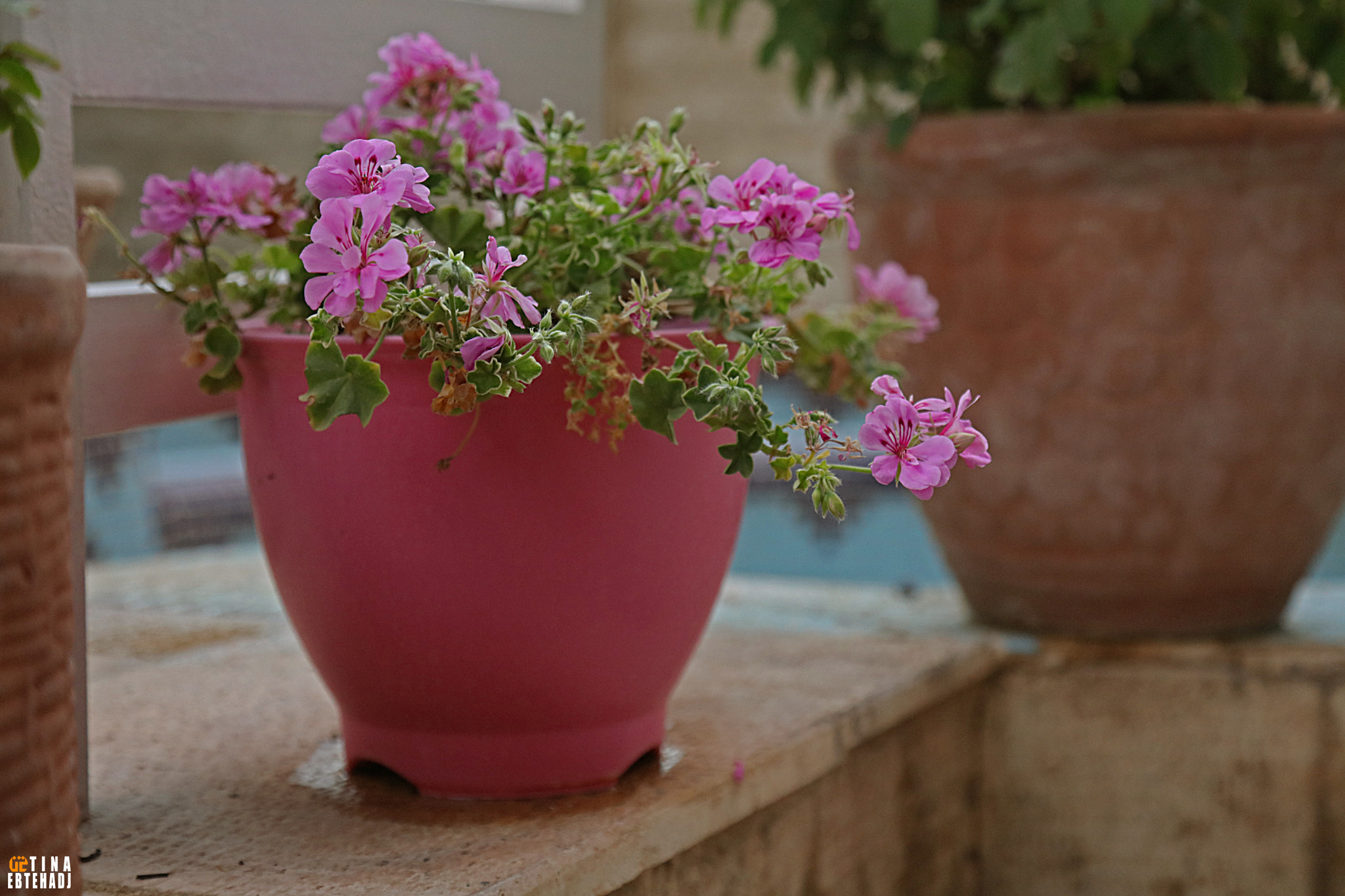 Canon EOS 5DS R sample photo
