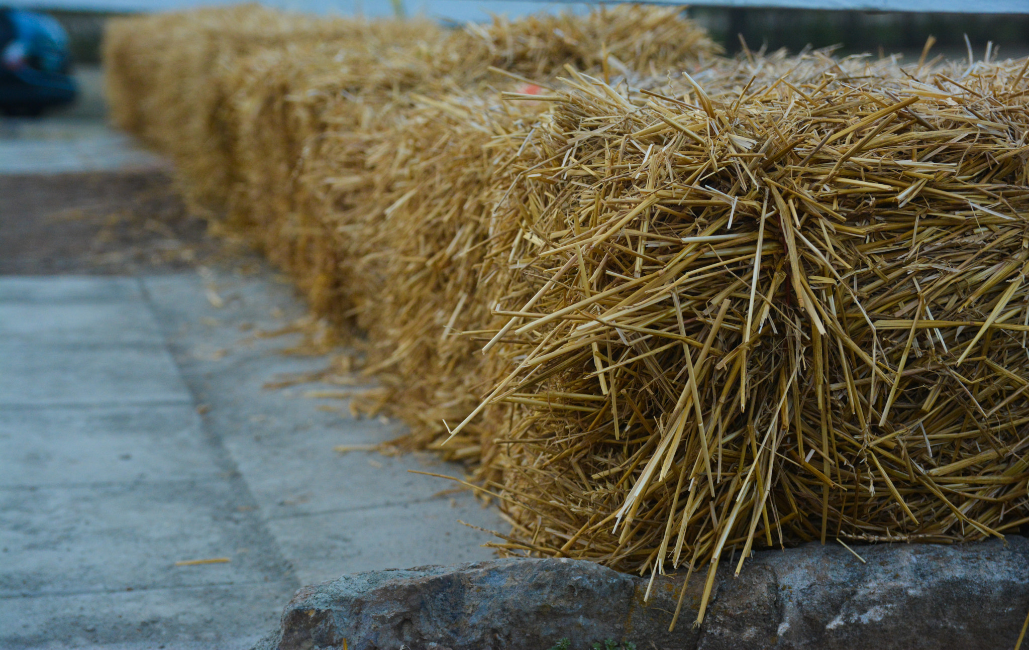 Nikon D5200 + Sigma 17-50mm F2.8 EX DC OS HSM sample photo. Needle in the hay photography