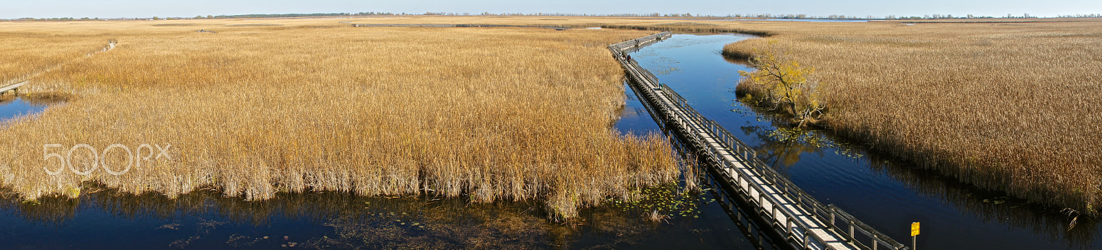 Sony E 18-200mm F3.5-6.3 OSS sample photo. Marshland at pelee point photography