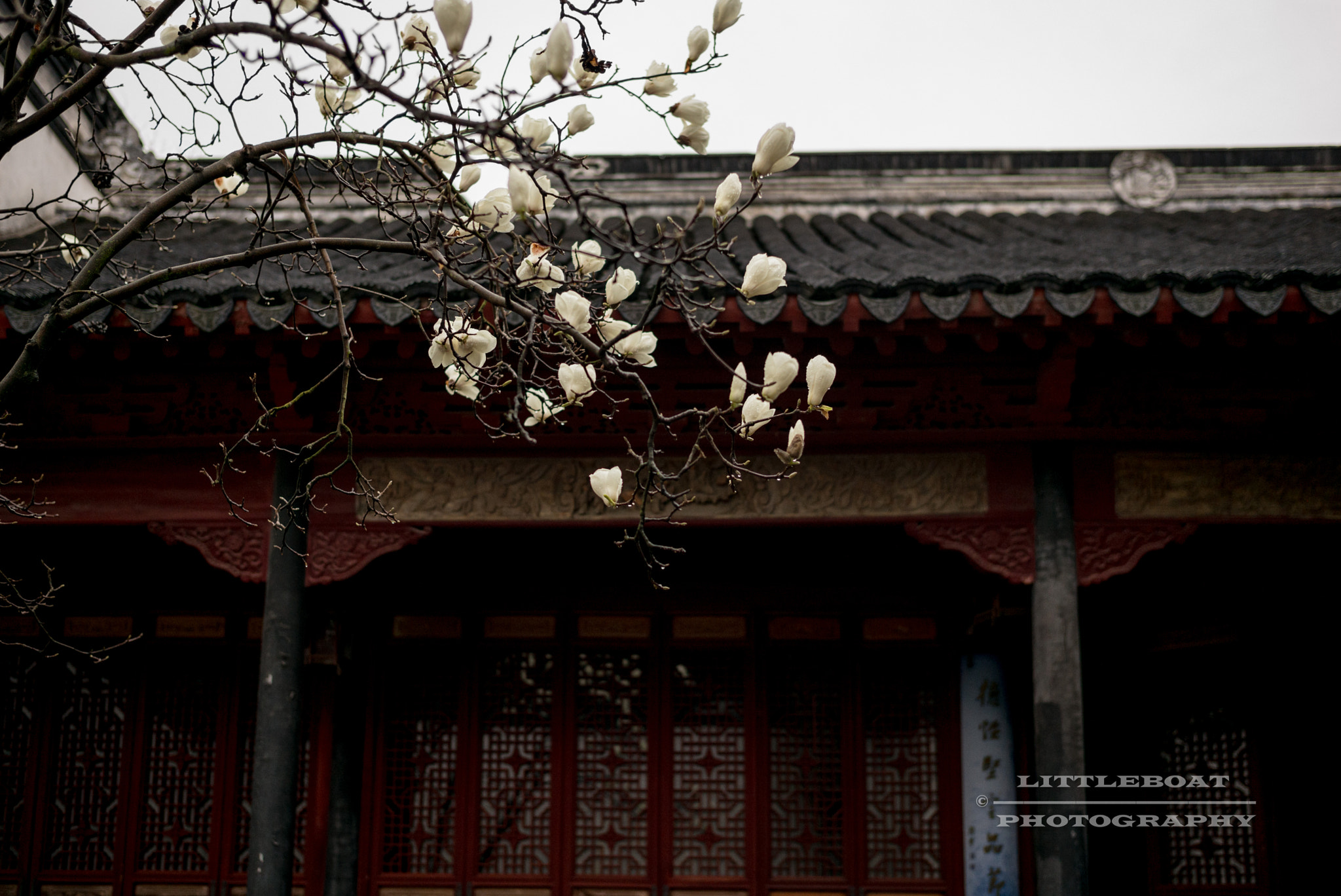 Leica Summilux-M 35mm F1.4 ASPH sample photo. Tongli photography