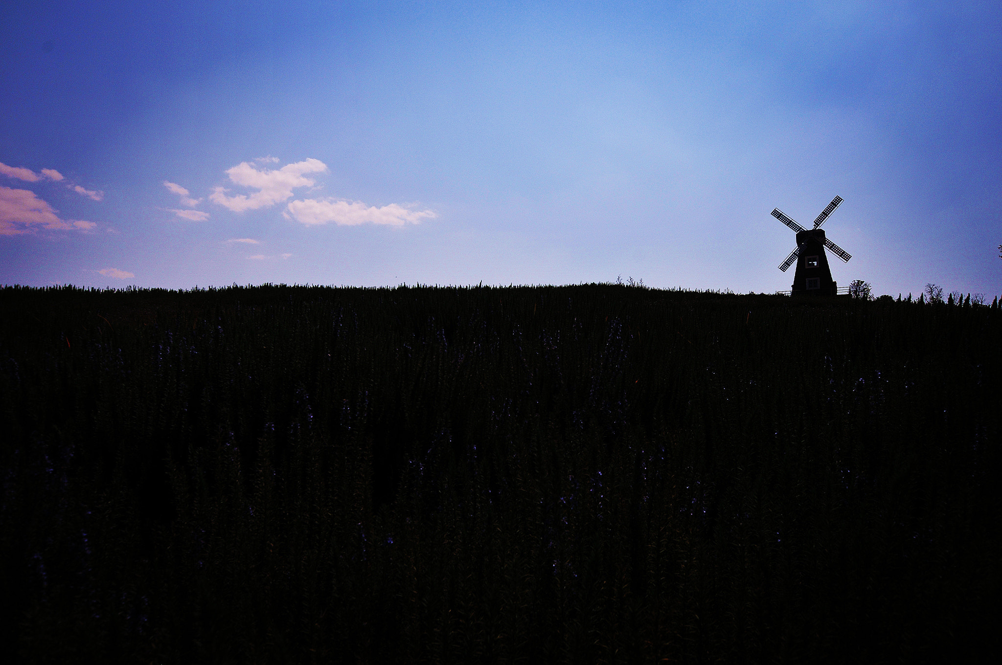 Nikon D300S + Sigma 10-20mm F3.5 EX DC HSM sample photo. Windmill photography