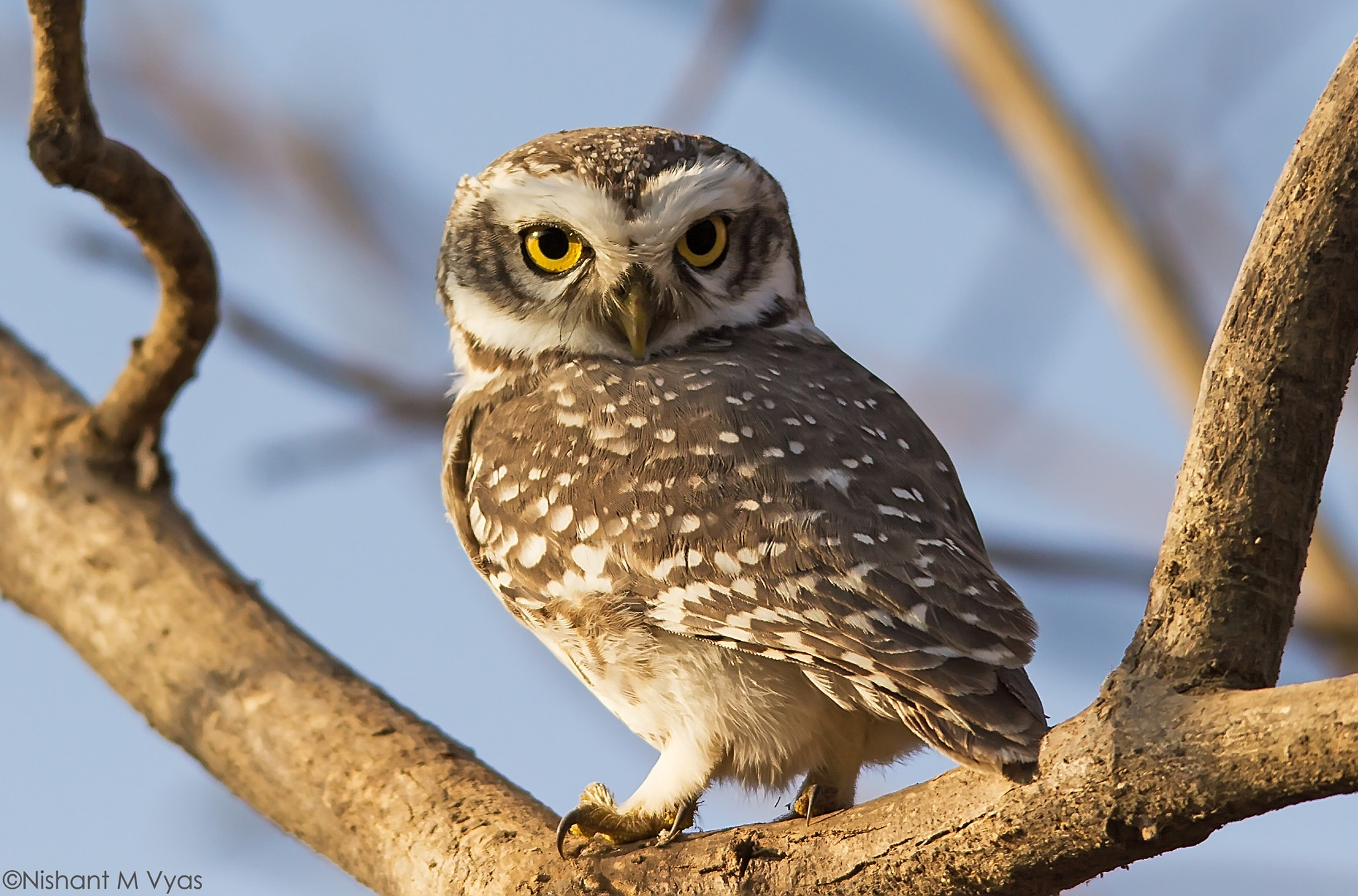Sigma 150-500mm F5-6.3 DG OS HSM sample photo
