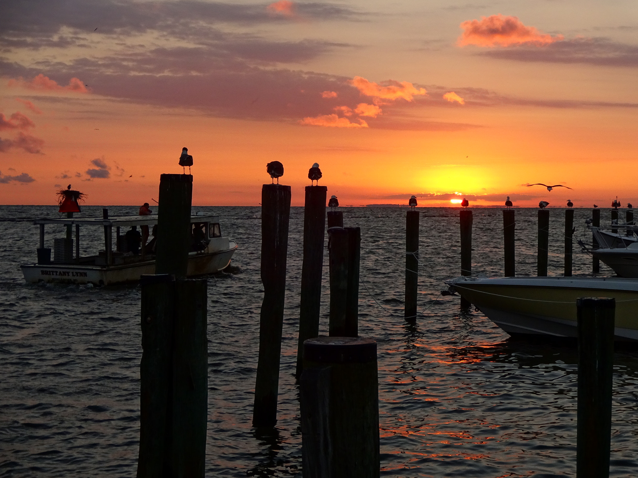 Sony Cyber-shot DSC-WX220 sample photo. Chesapeake beach sunrise3 photography
