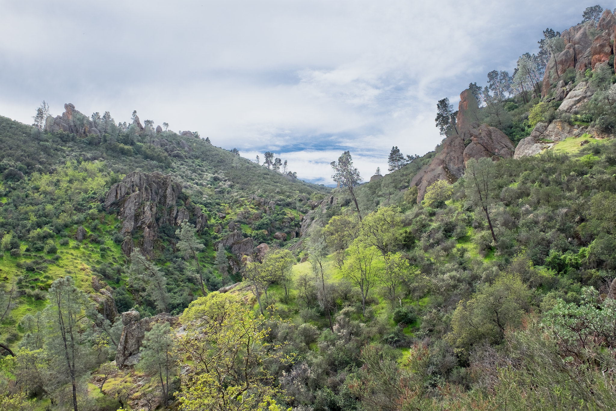 Fujifilm X-T1 + Fujifilm XF 16-55mm F2.8 R LM WR sample photo. Pinnacles photography