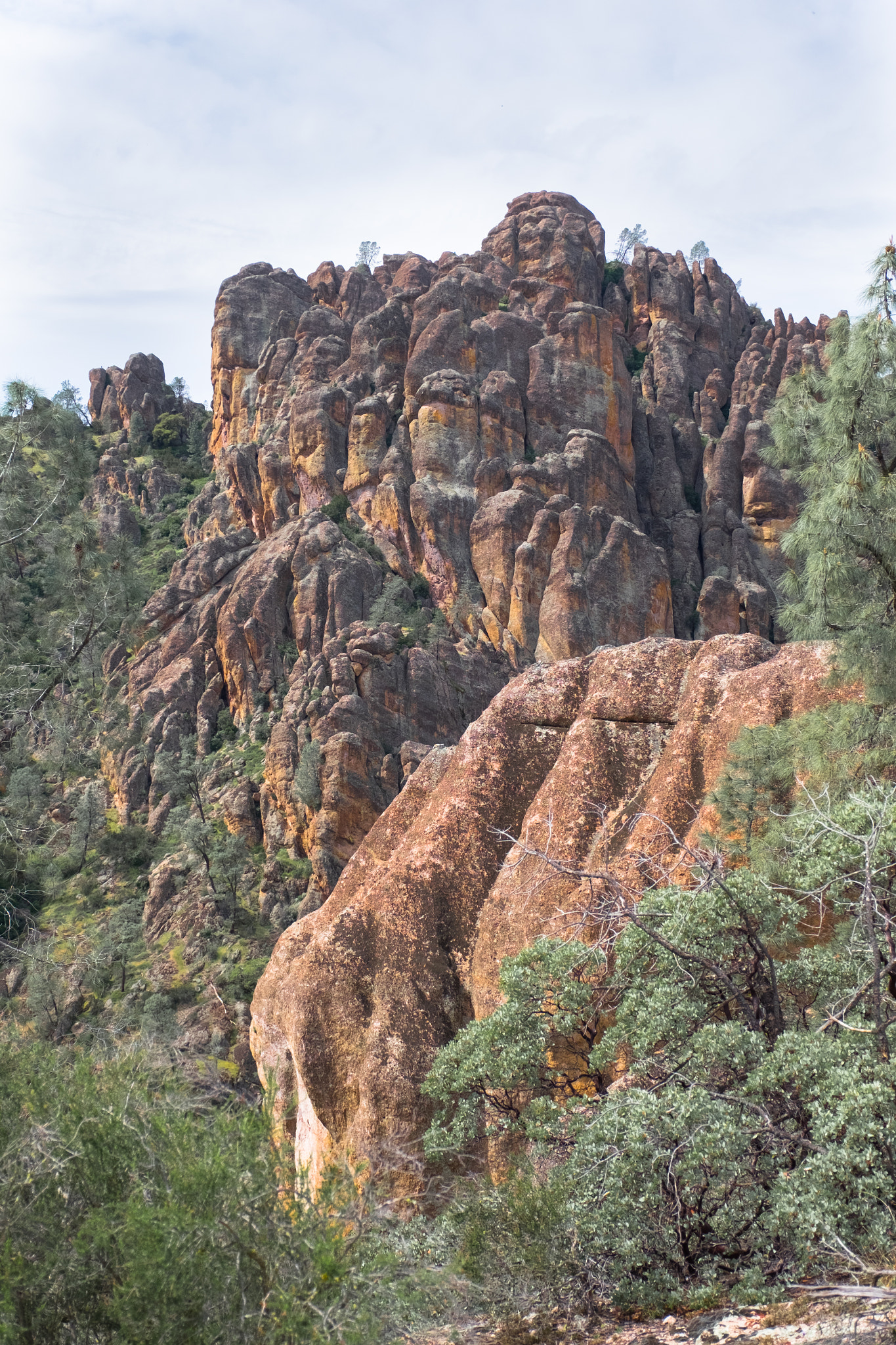Fujifilm X-T1 + Fujifilm XF 16-55mm F2.8 R LM WR sample photo. Pinnacles photography