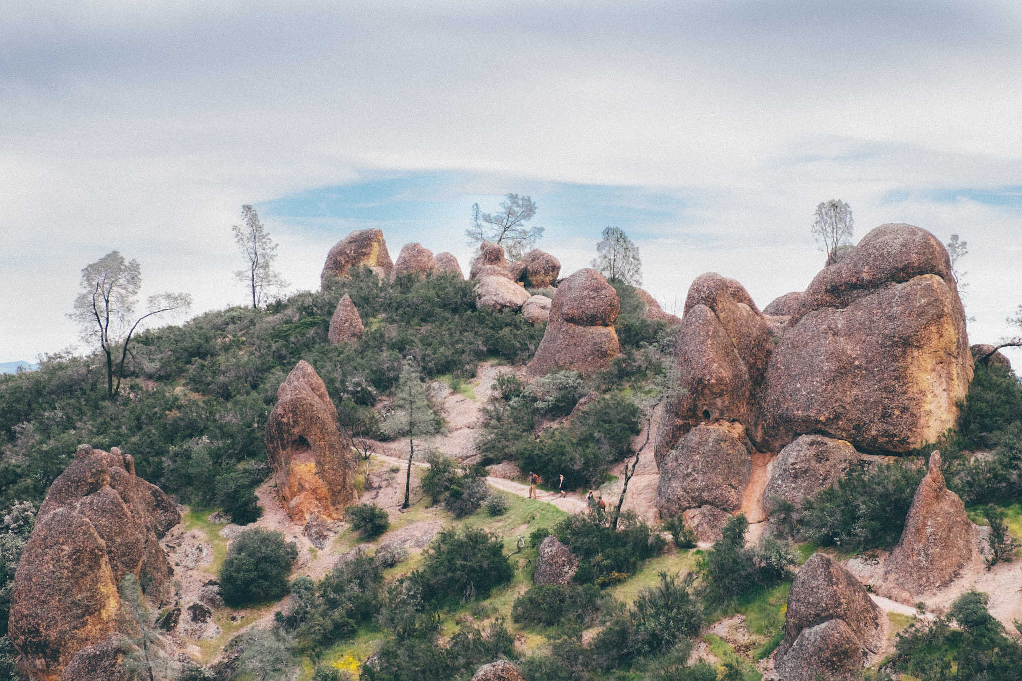 Fujifilm X-T1 + Fujifilm XF 16-55mm F2.8 R LM WR sample photo. Pinnacles photography