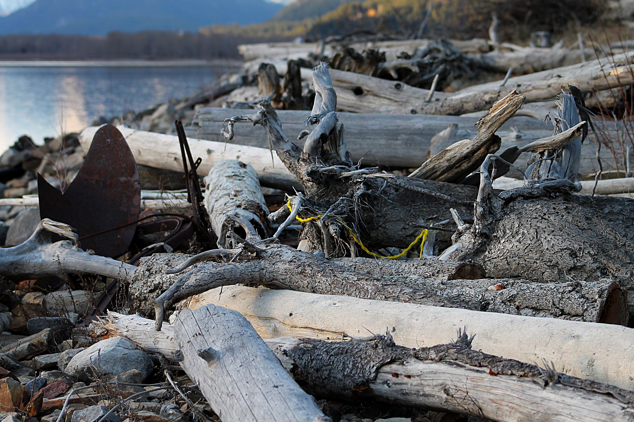 Canon EF 75-300mm f/4-5.6 USM sample photo. Junk and driftwood photography