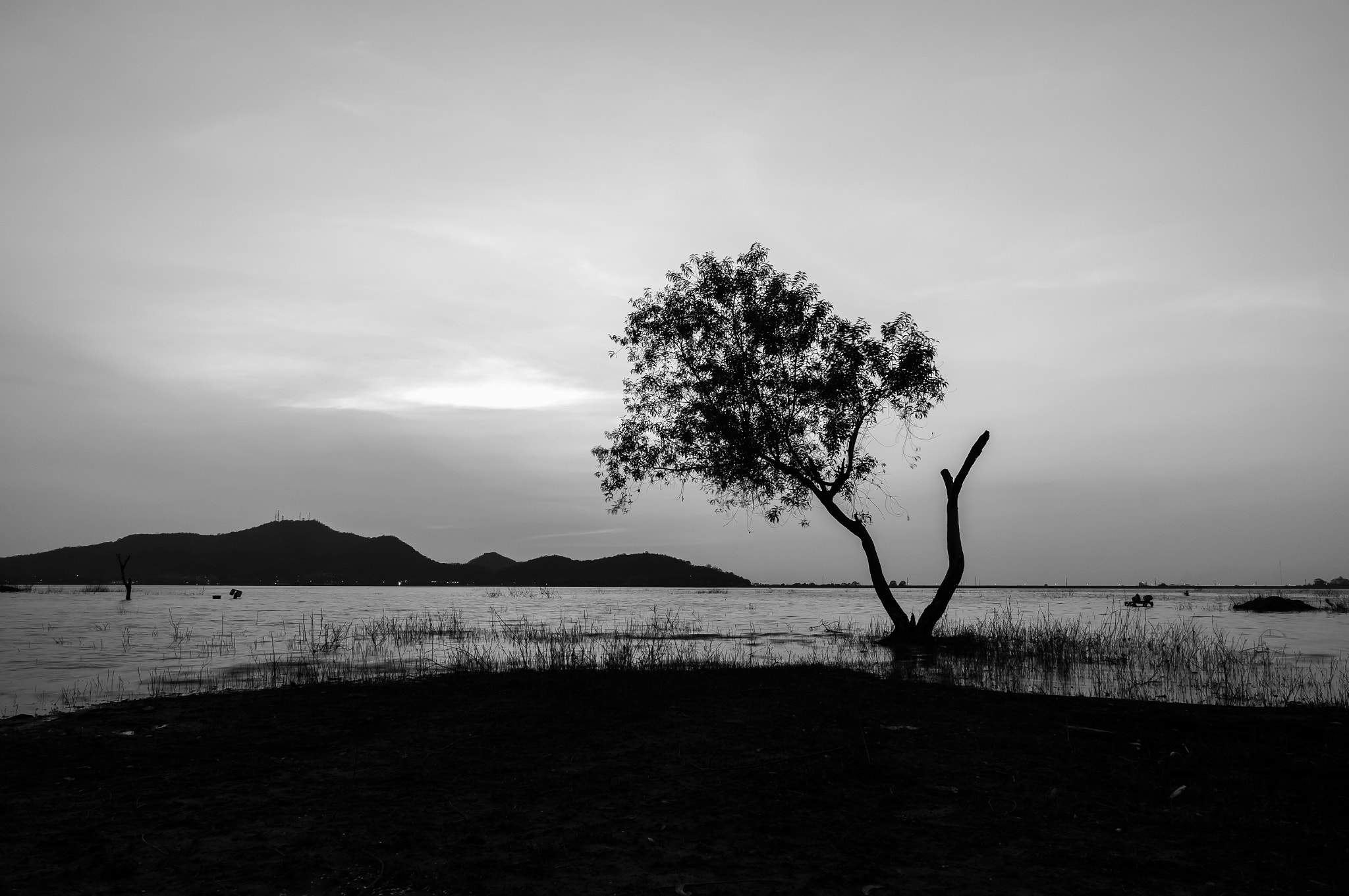 Sony Alpha NEX-6 + Sony Vario-Tessar T* E 16-70mm F4 ZA OSS sample photo. Black and white landscape of tree in water with mountain background at bang phra reservoir... photography