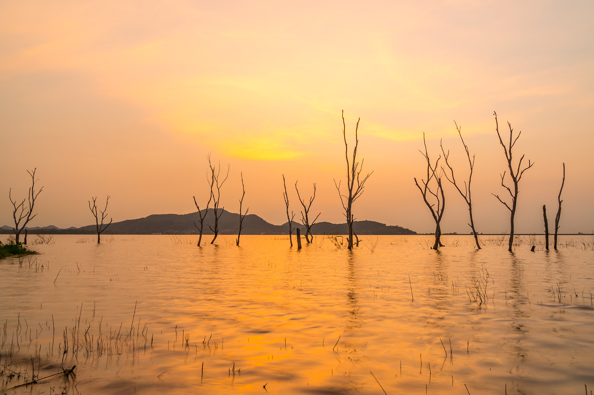 Sony Alpha NEX-6 + Sony Vario-Tessar T* E 16-70mm F4 ZA OSS sample photo. Dry tree in water at bang phra reservoir sriracha,chonburi, thailand. photography