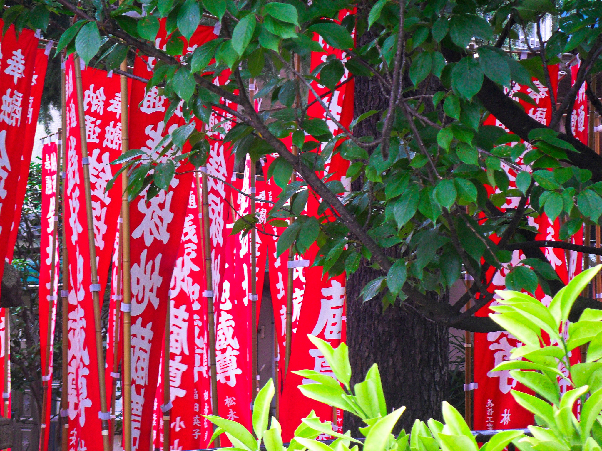Samsung ES73 / VLUU ES73 /  SL605 sample photo. Asakusa study 10 photography